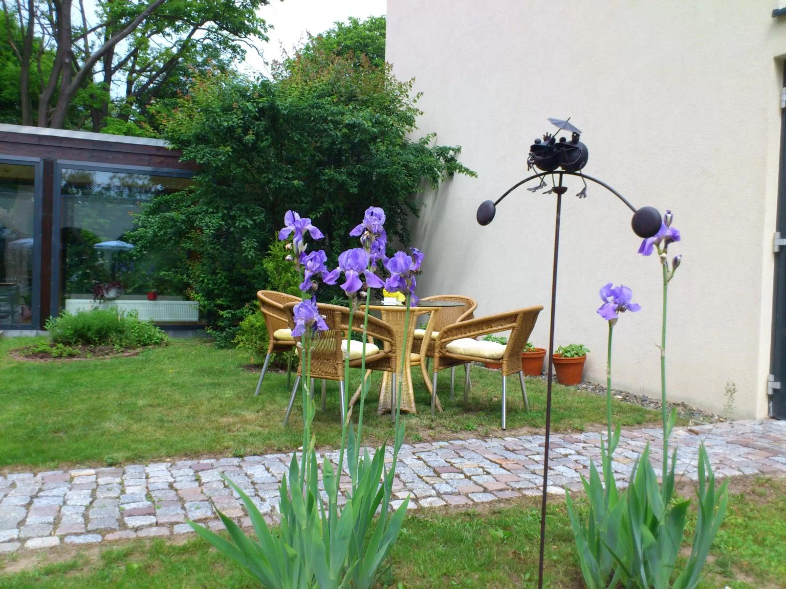 Balcony/Terrace in Hotel Balneolum Superior