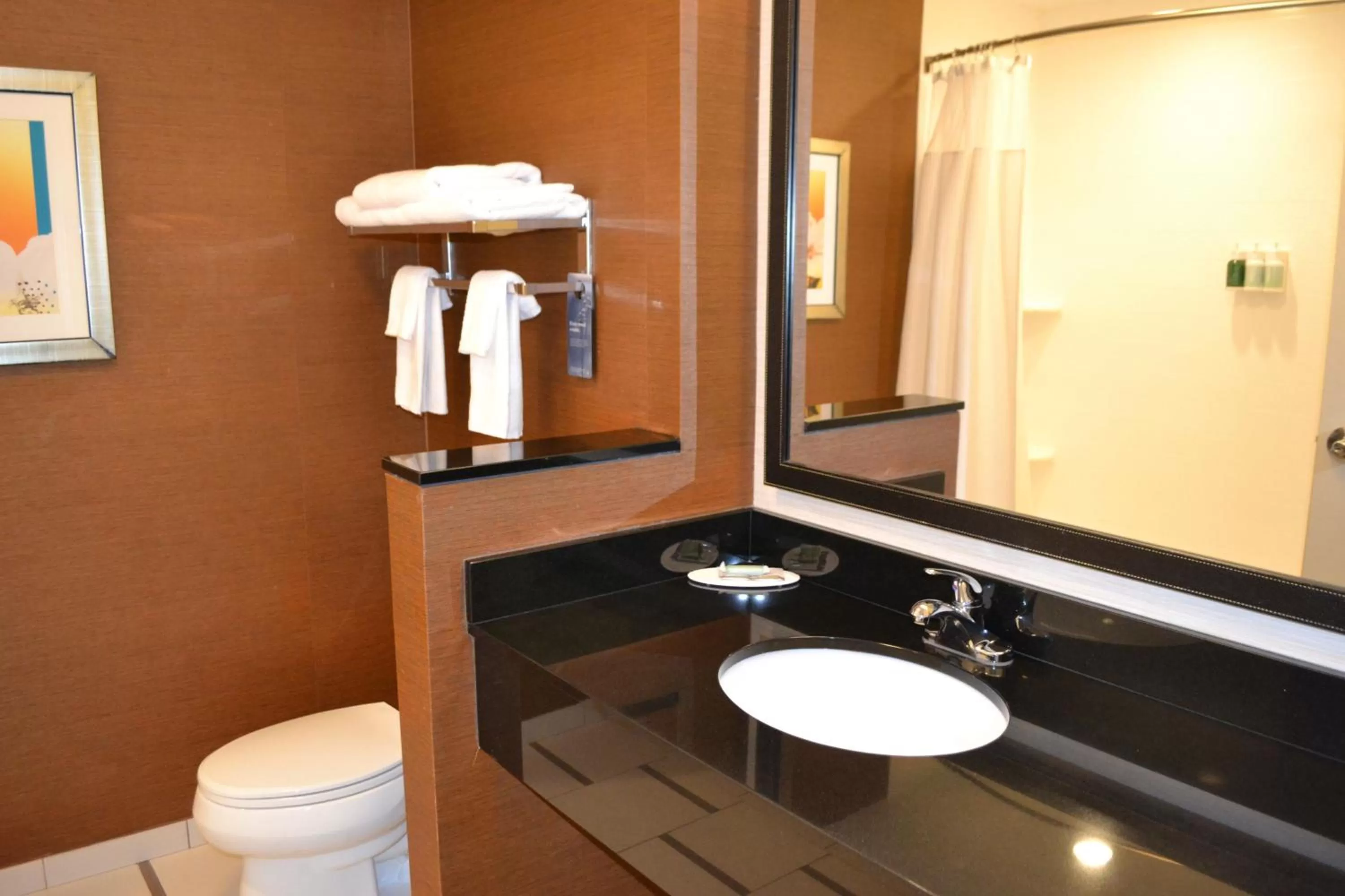 Bathroom in Fairfield Inn & Suites by Marriott Fort Walton Beach-West Destin