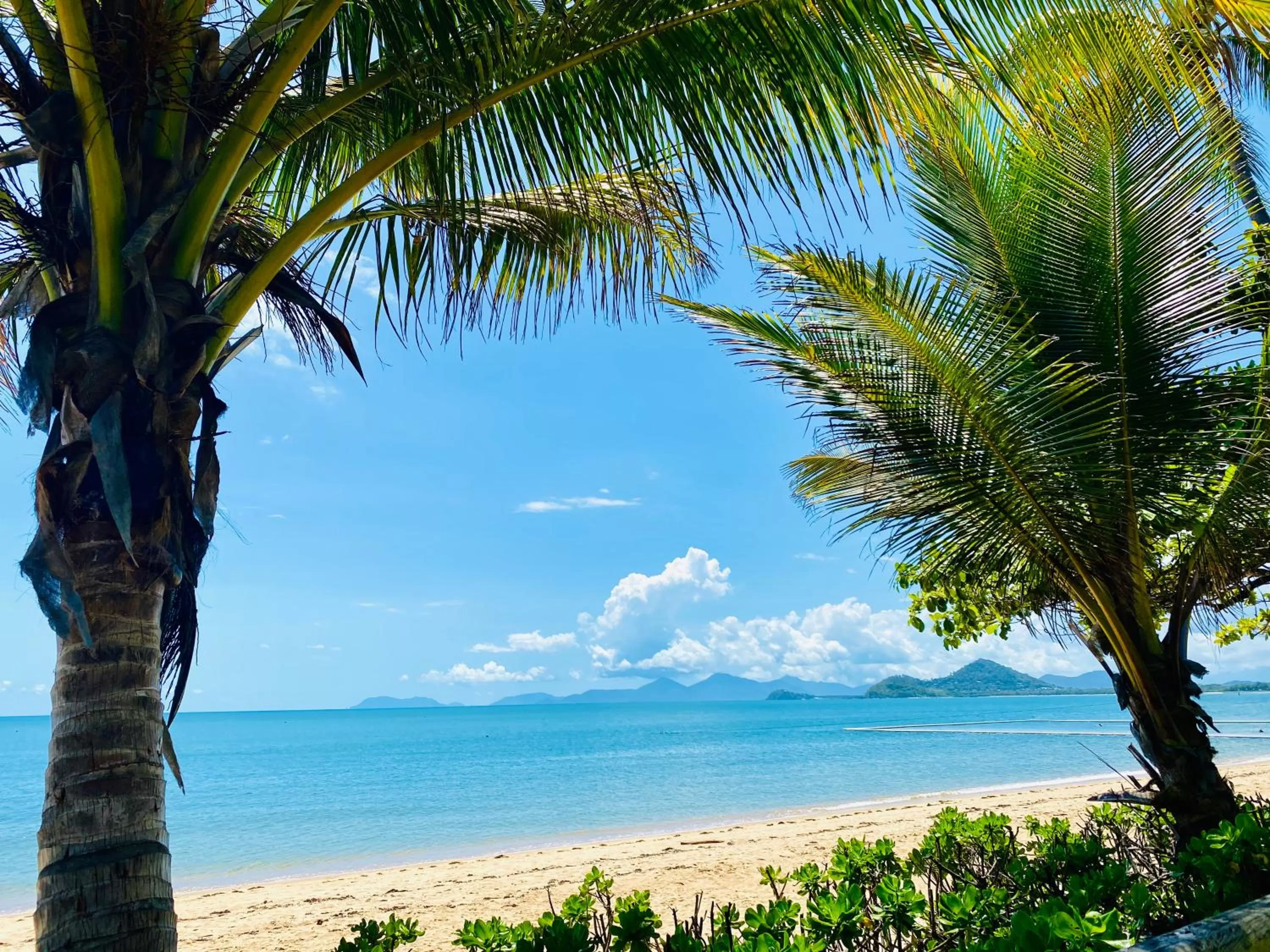 Natural landscape in BeachView Apartments at Villa Paradiso