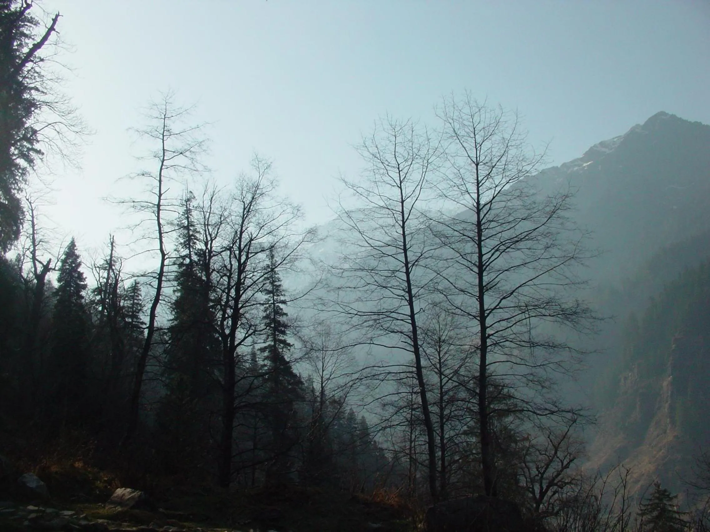 View (from property/room) in Banon Resorts