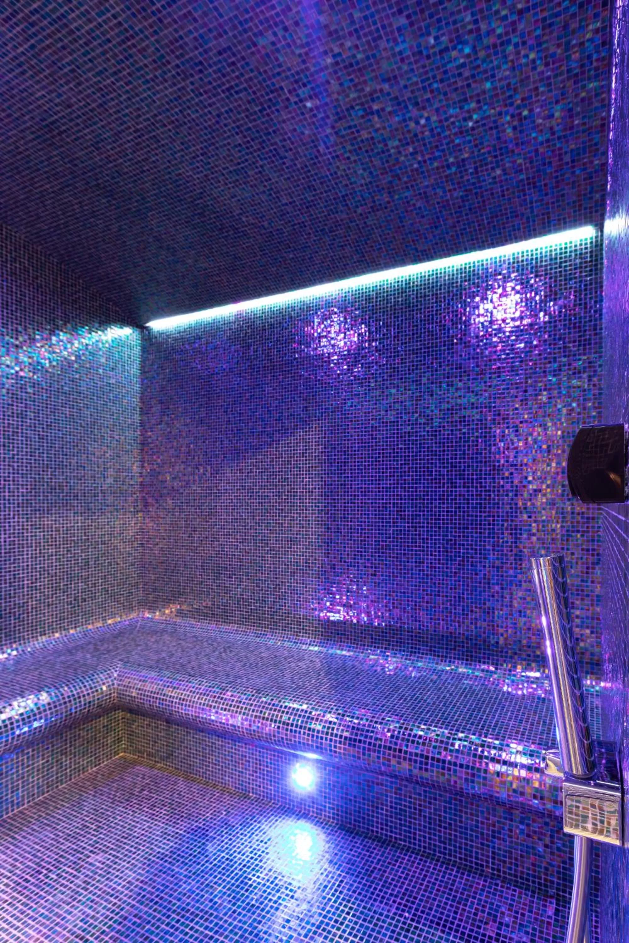 Sauna in Hotel Crocus