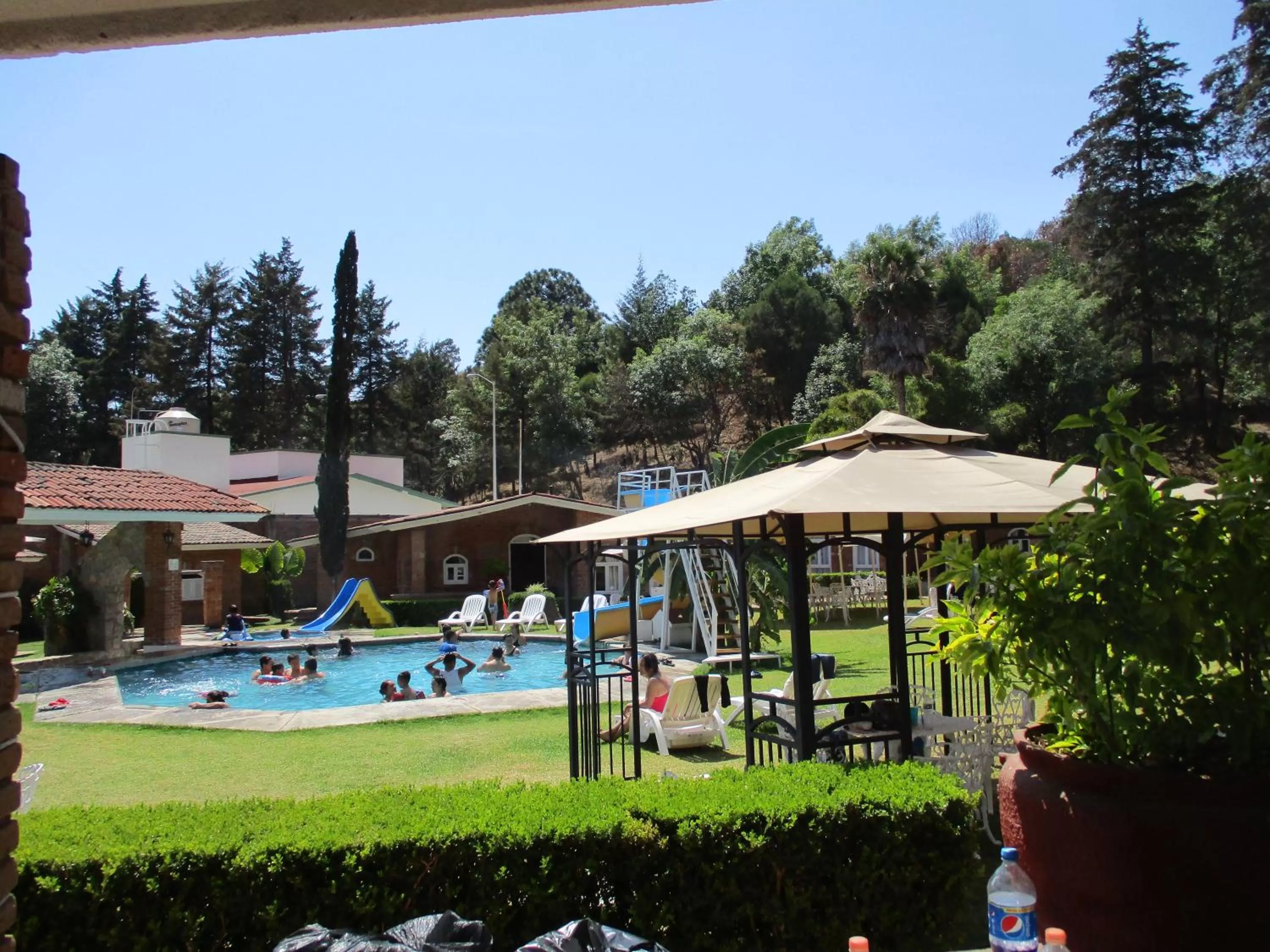 Garden in Hotel Villa Monarca Inn