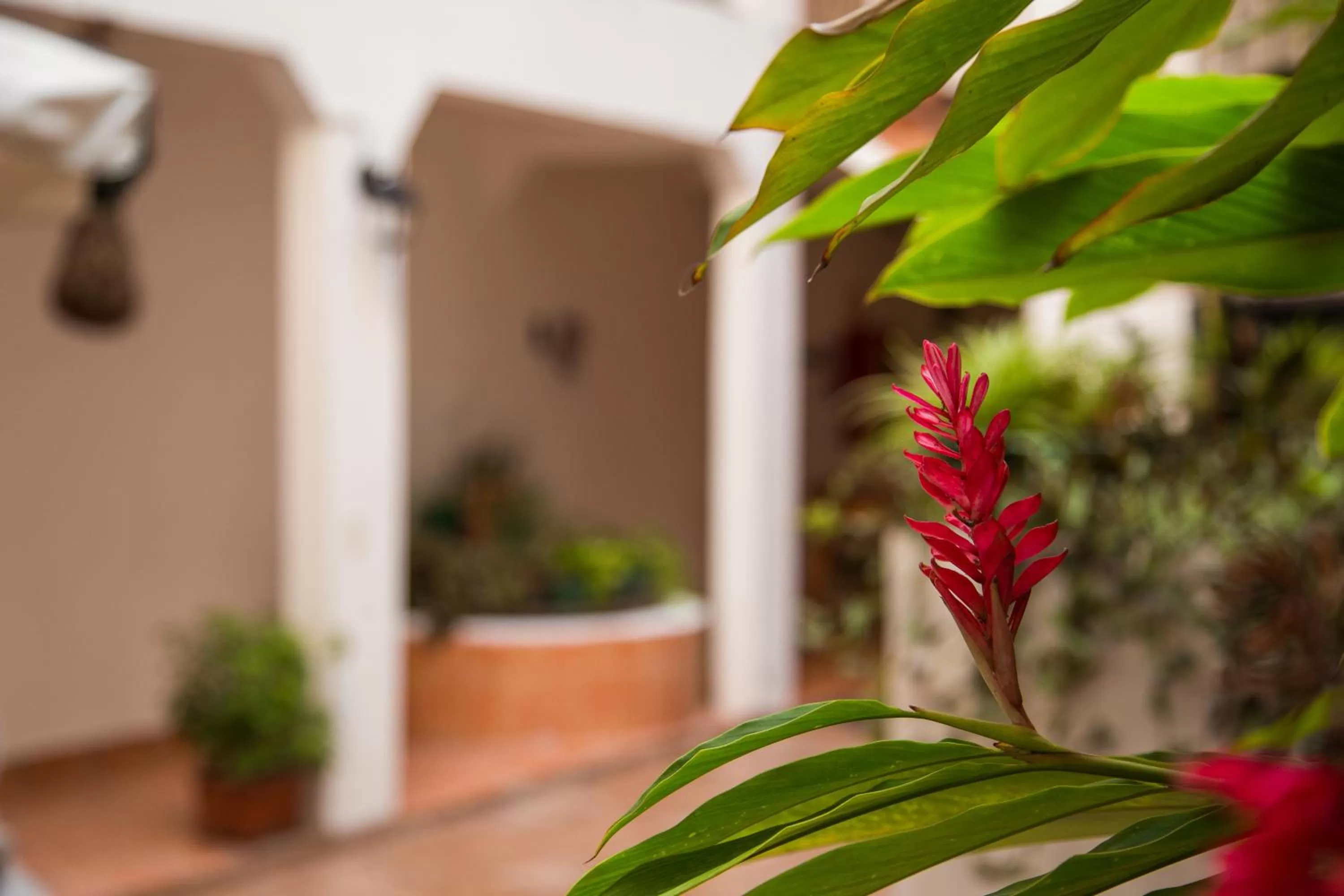 Facade/entrance in Posada Kin