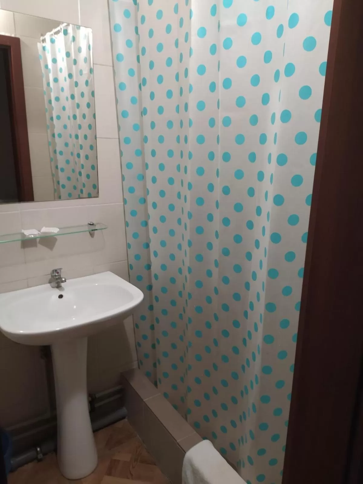 Bathroom in Zelenyi Kampus