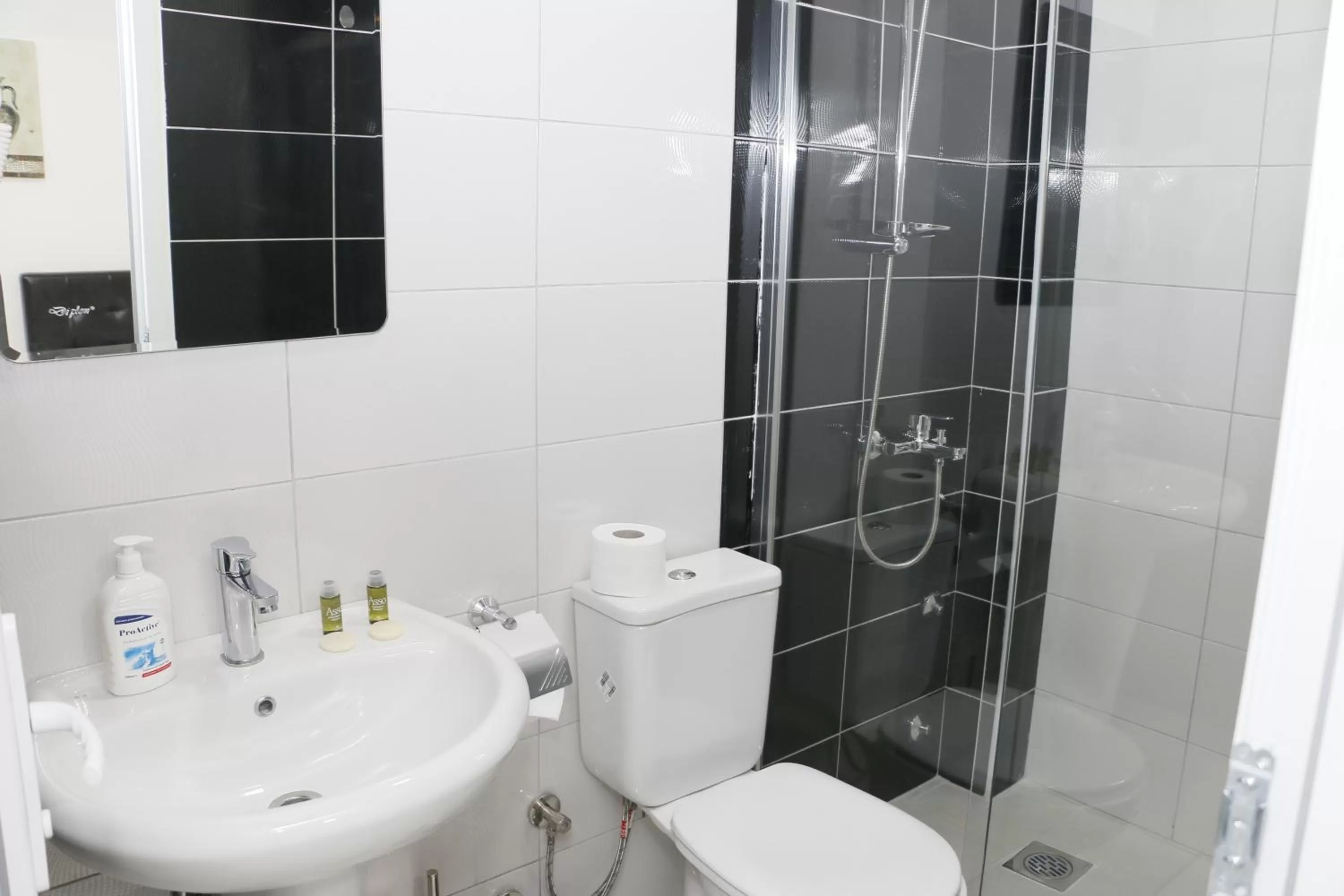 Shower, Bathroom in Hotel Old Konak