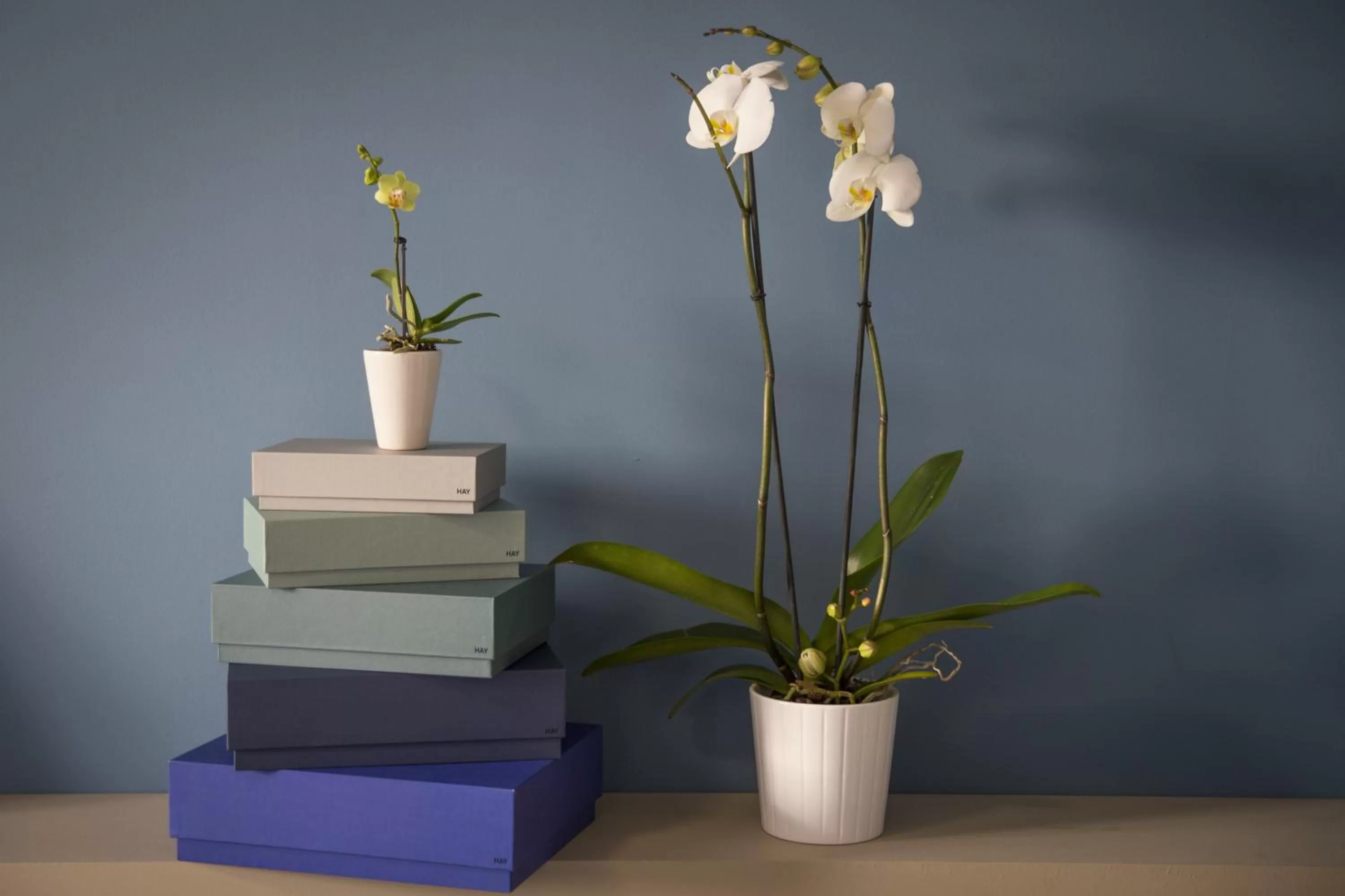 Decorative detail in Aurum Aparthotels Bicocca