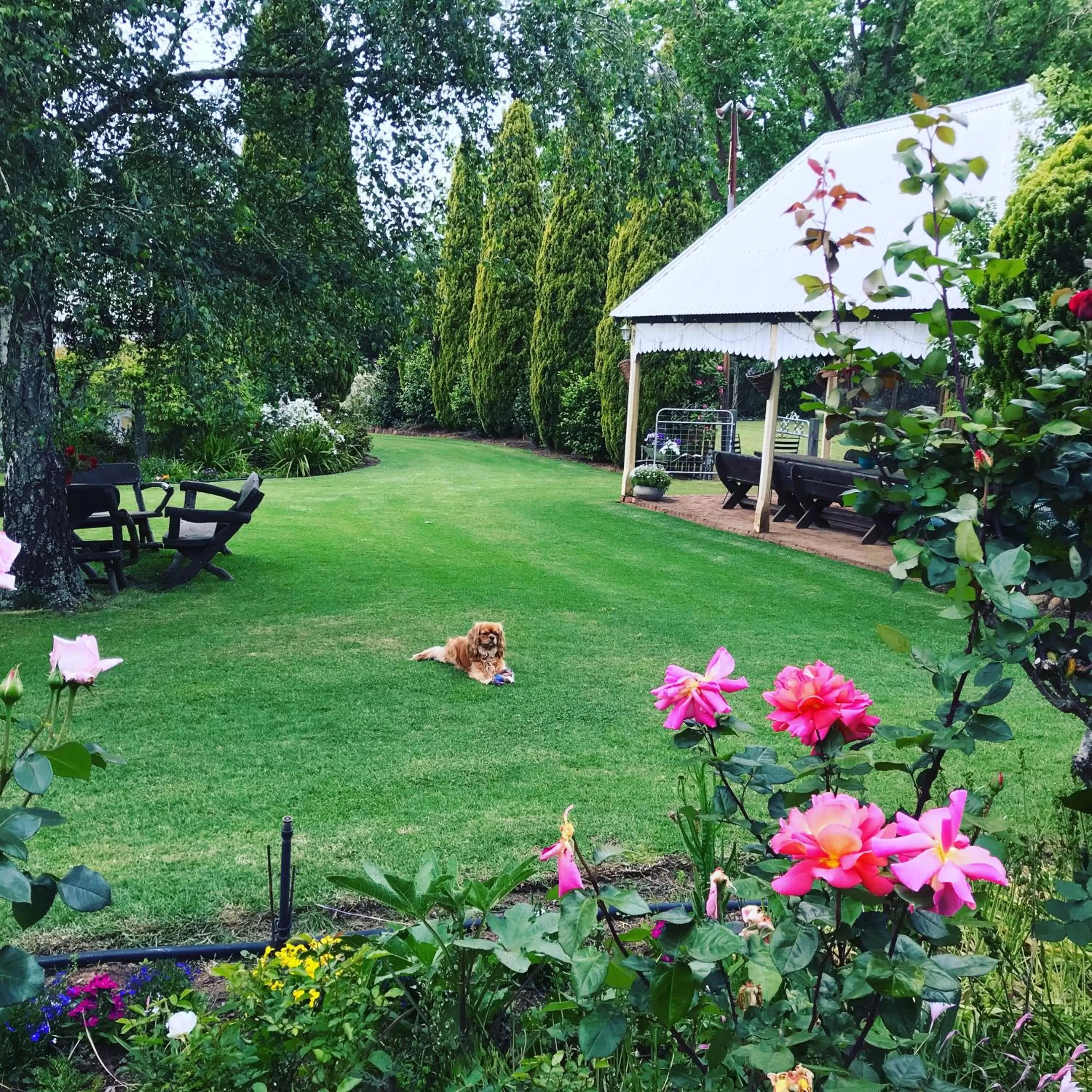 Garden in Dingup House