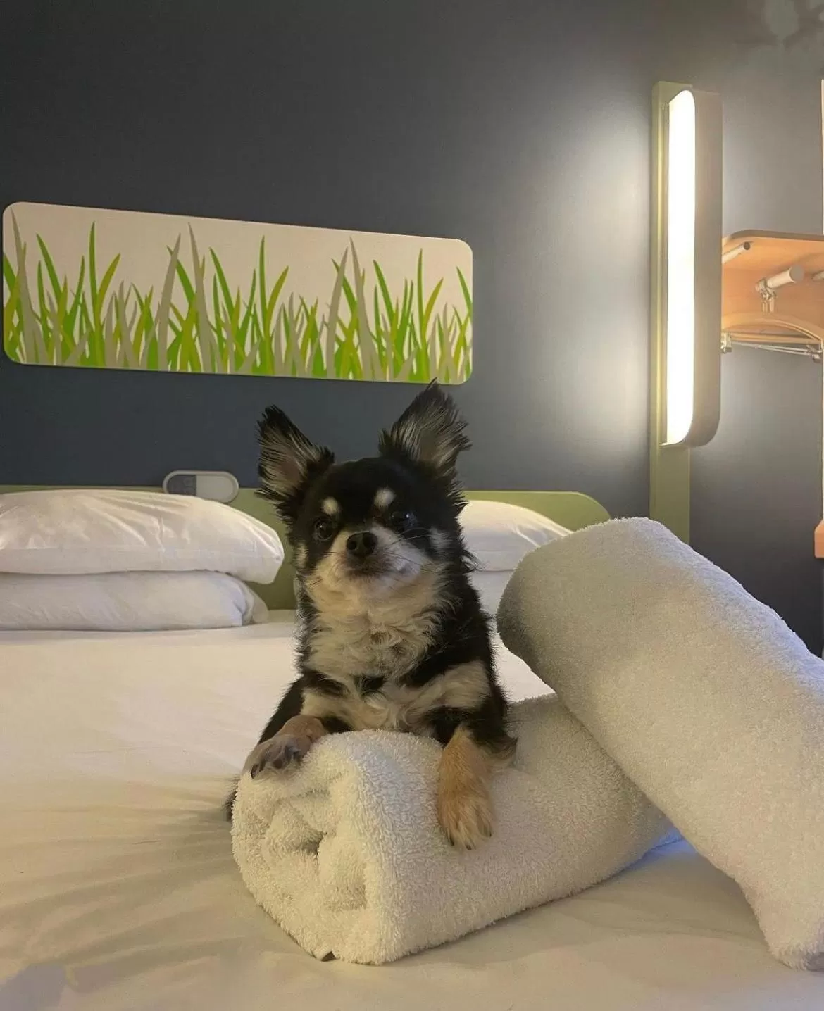 Bedroom in ibis budget Belfast City Centre