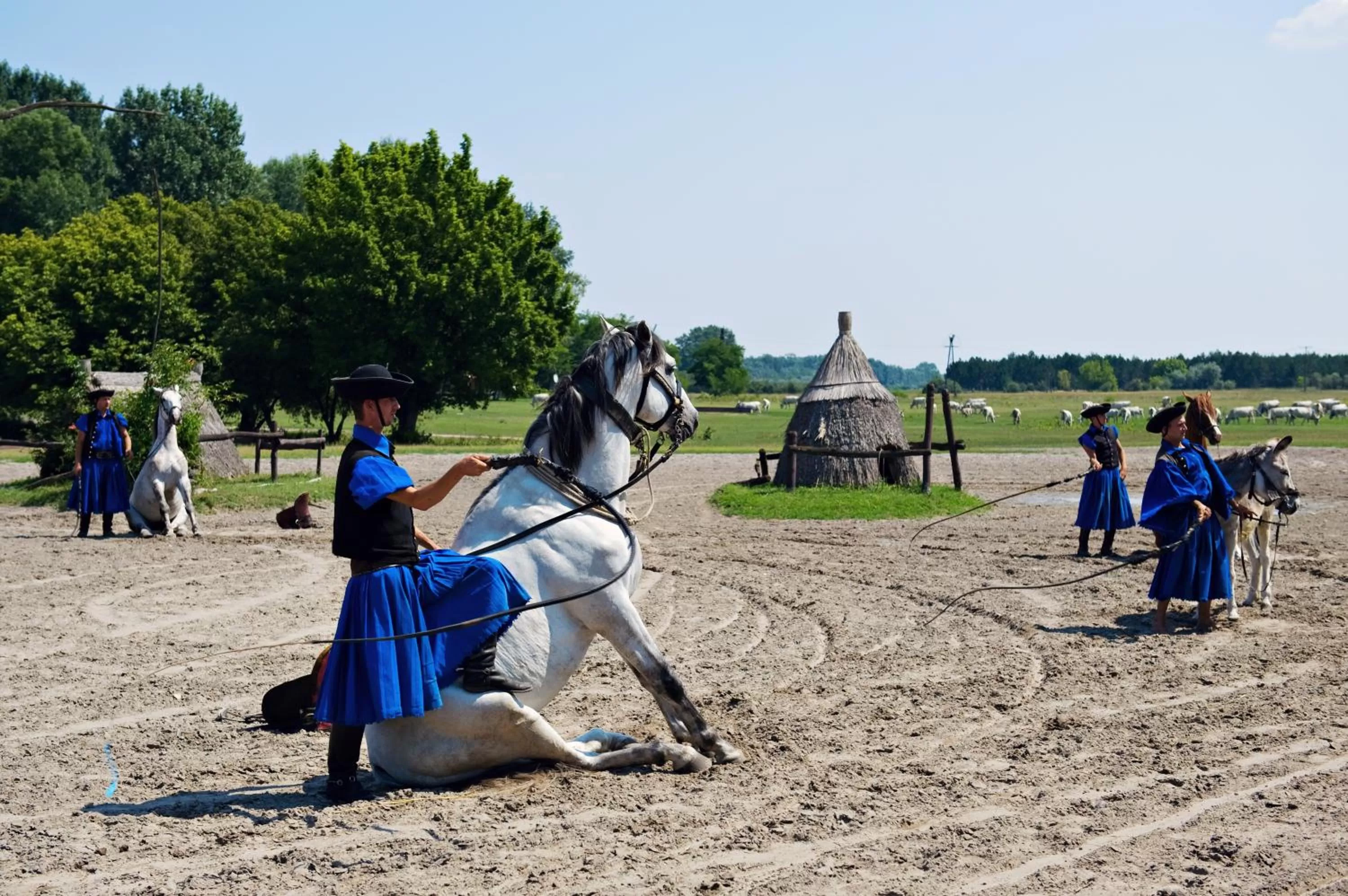 Day, Horseback Riding in Varga Tanya Hotel