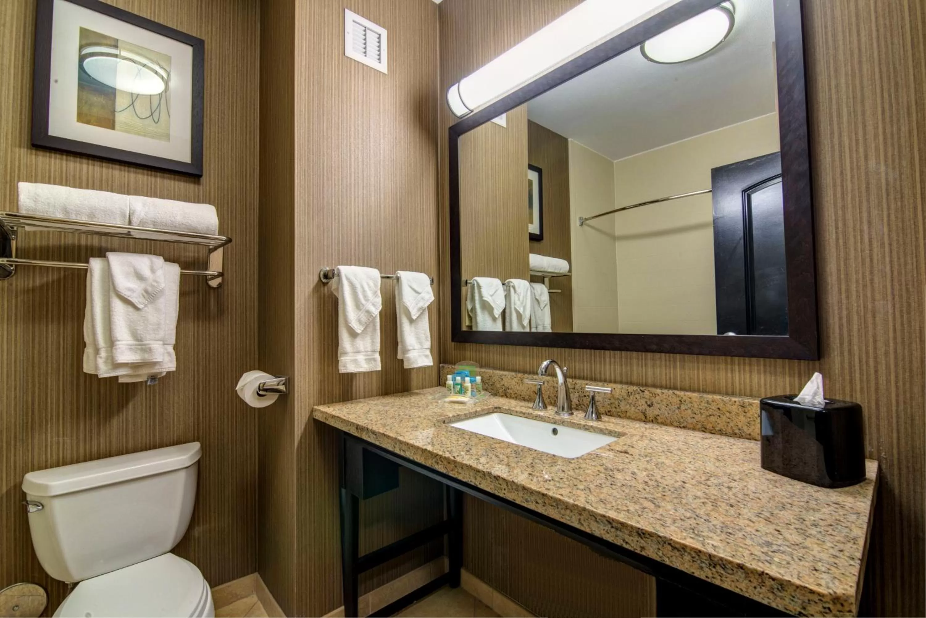 Bathroom in Holiday Inn Arlington Northeast by IHG
