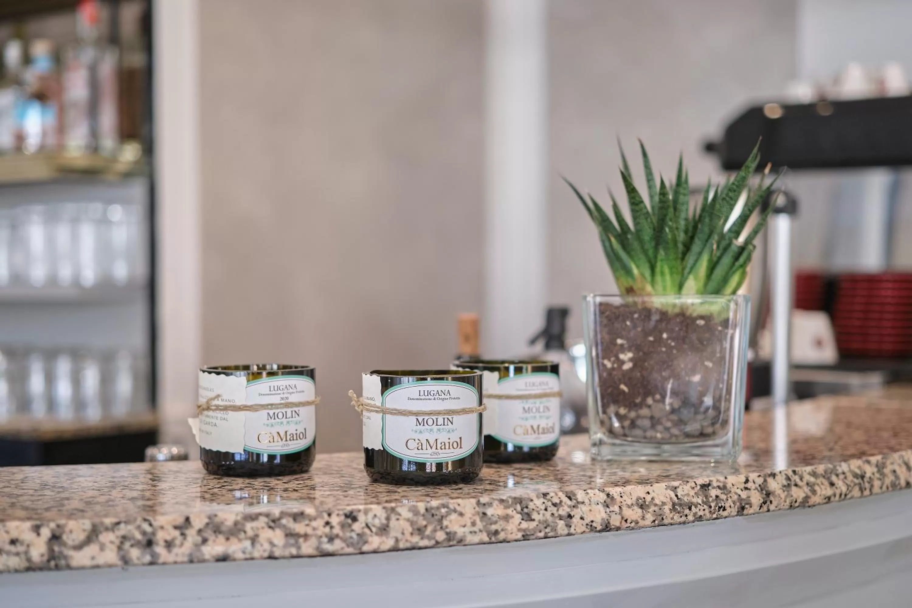 Lounge or bar in HOTEL VITTORIA