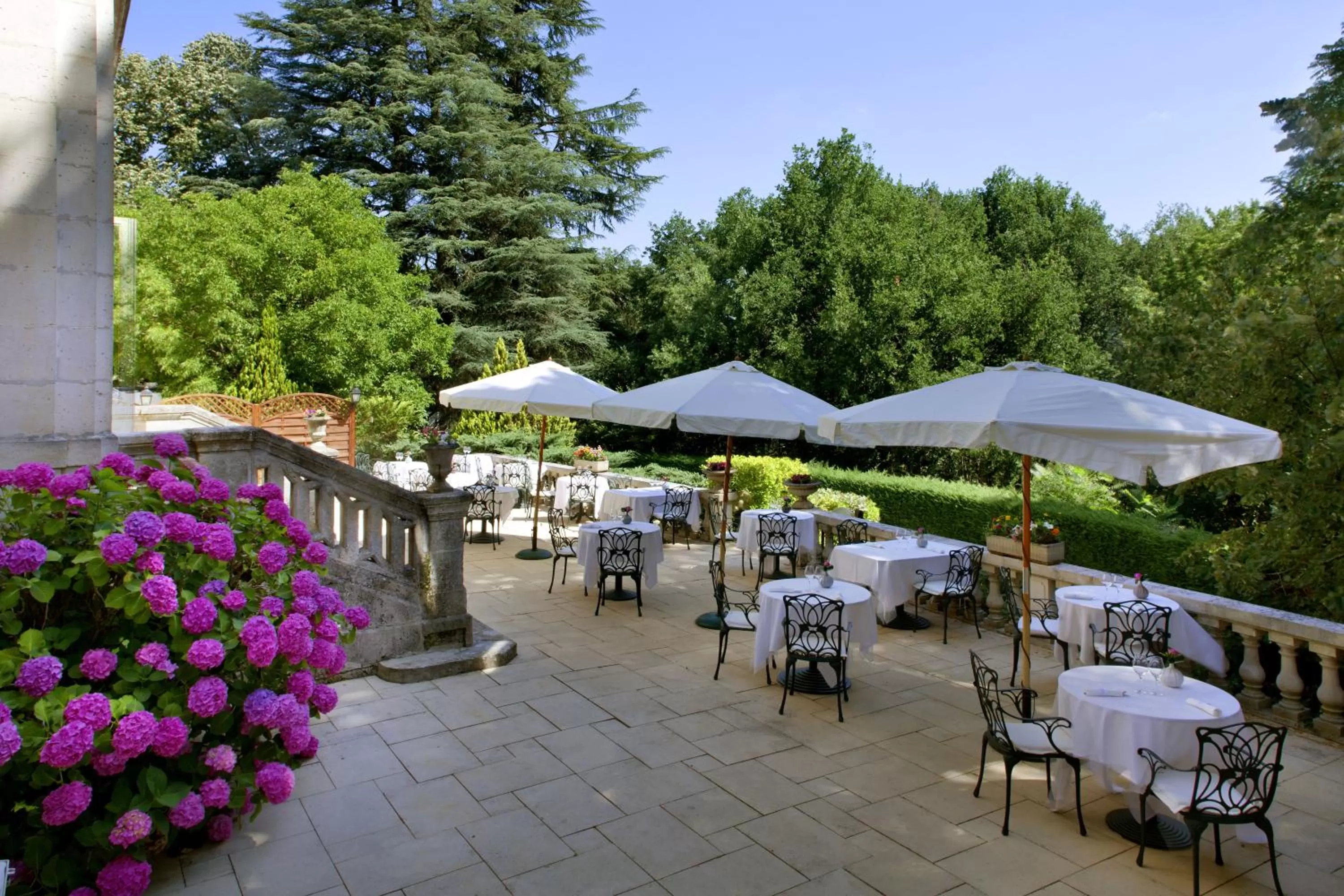 Restaurant/places to eat in L'Orangerie du Château des Reynats