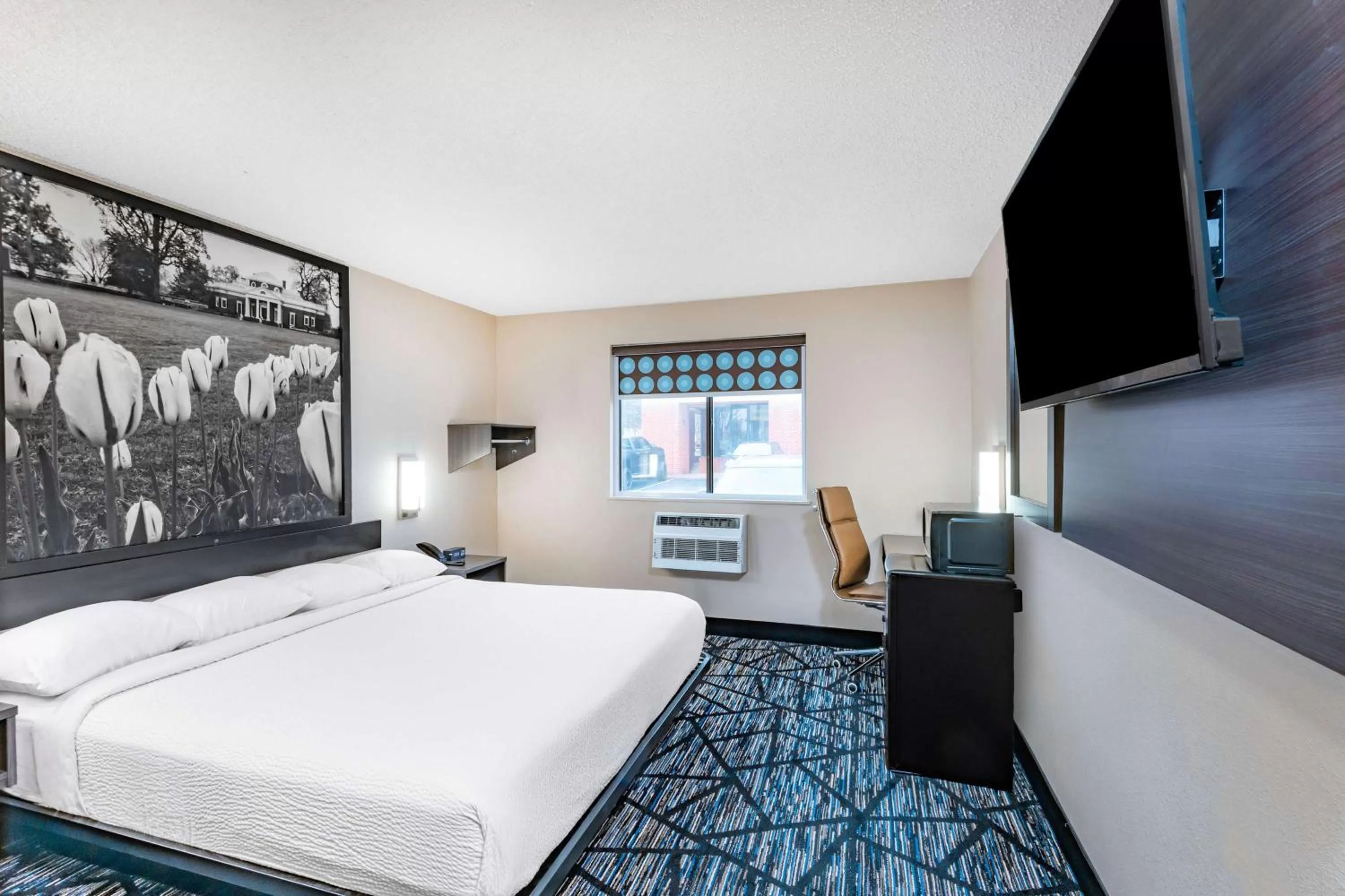 Photo of the whole room, Bed in Super 8 by Wyndham Charlottesville