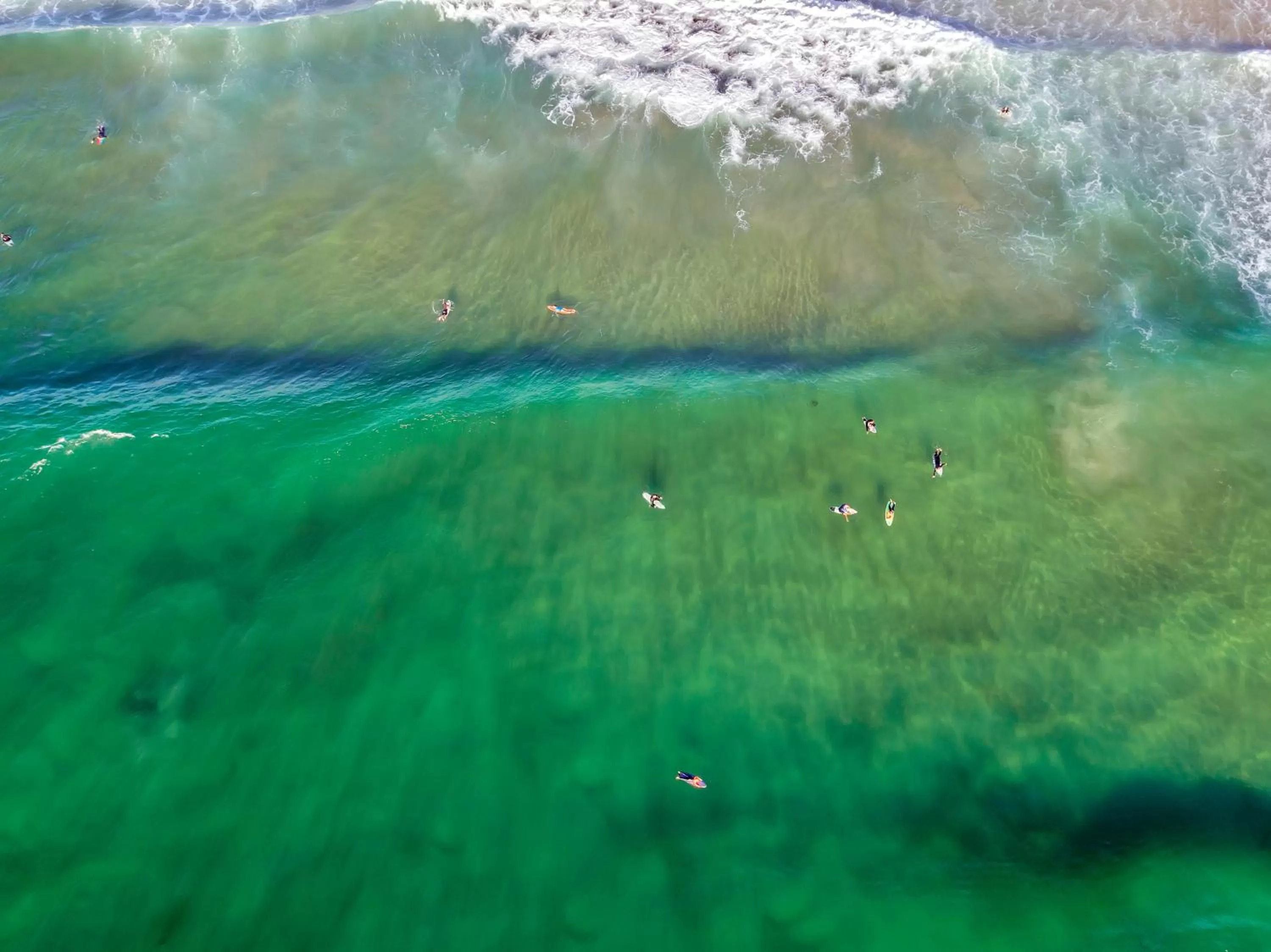 Natural landscape in Surf Beach Motel Port