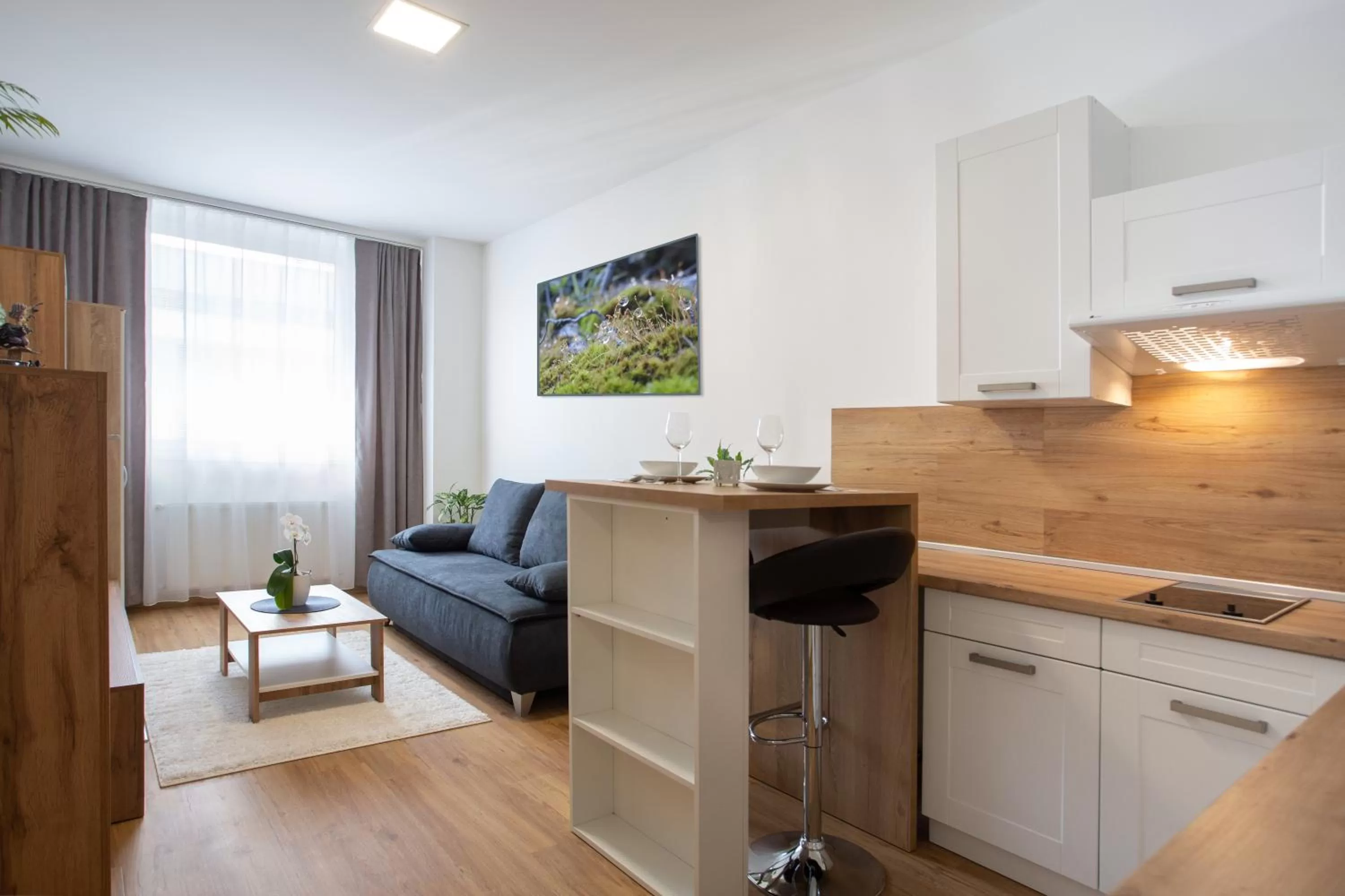 Other, Kitchen/Kitchenette in Agro Complex Apartments