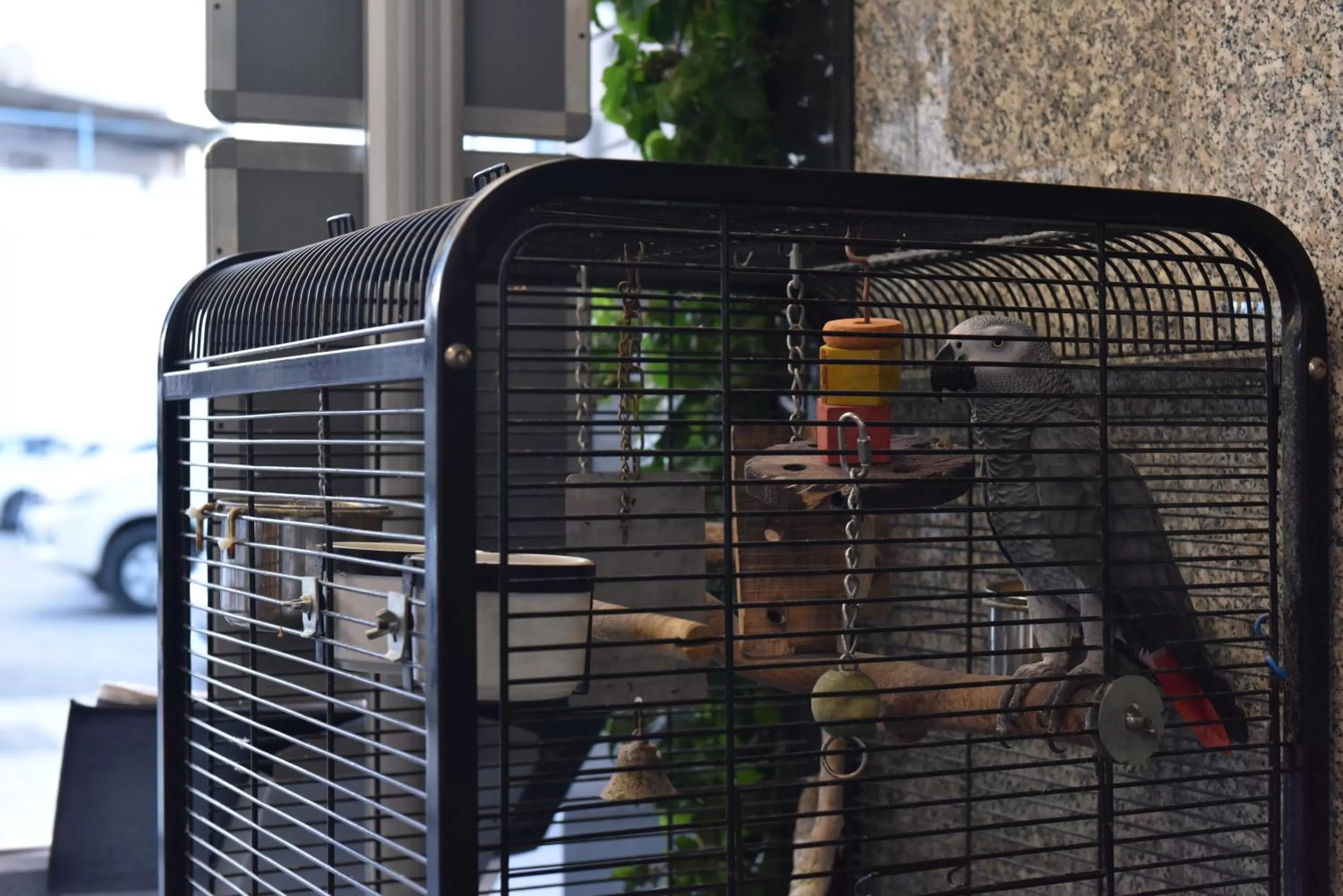 Other in Istankoy Hotel