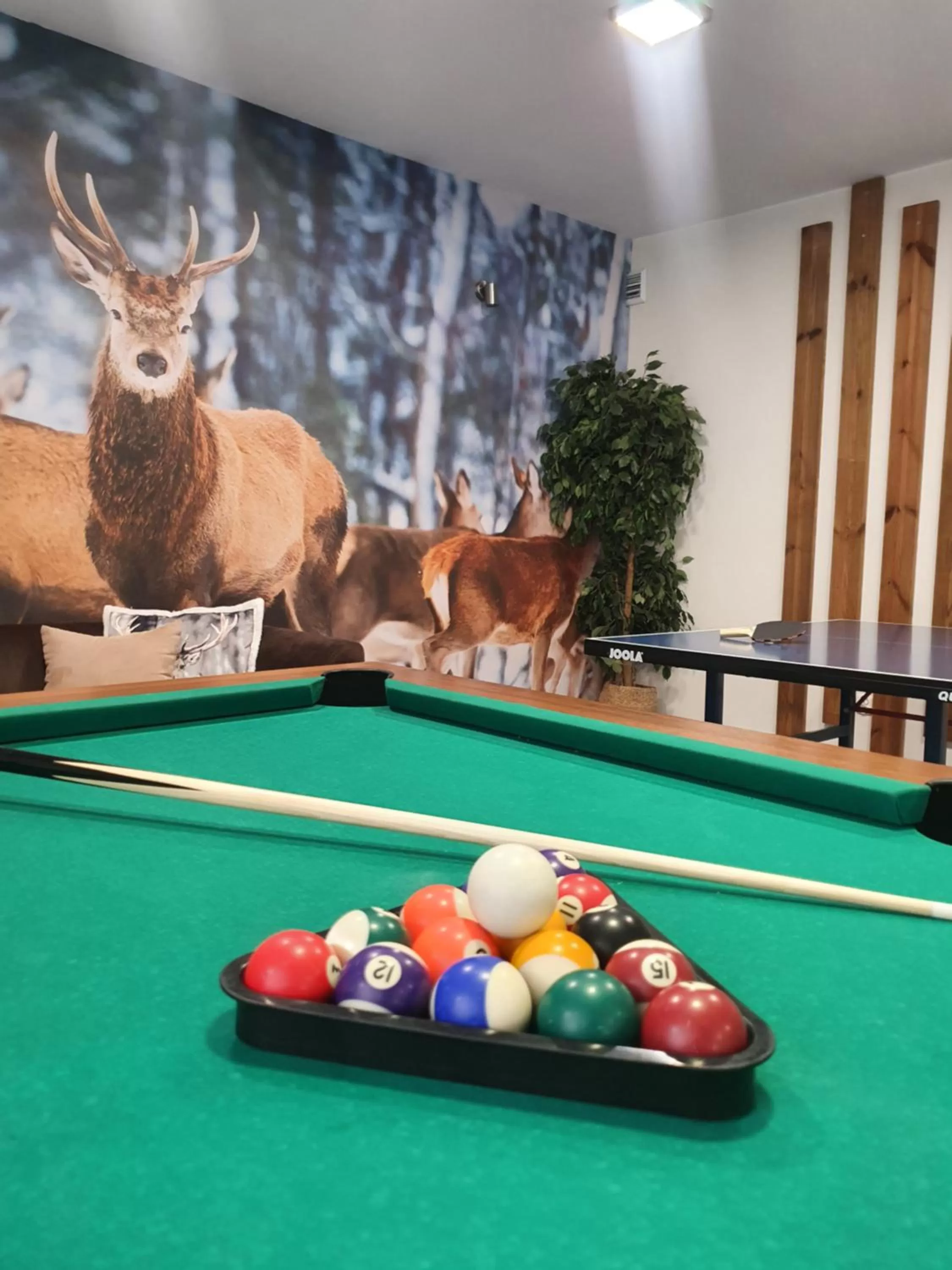 Billiard, Billiards in Dom Wypoczynkowy Stokrotka