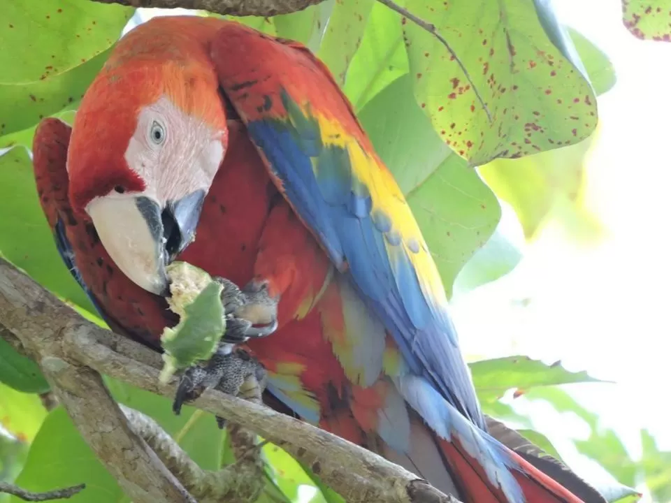 Property building in Hotel Beachfront Vista Hermosa