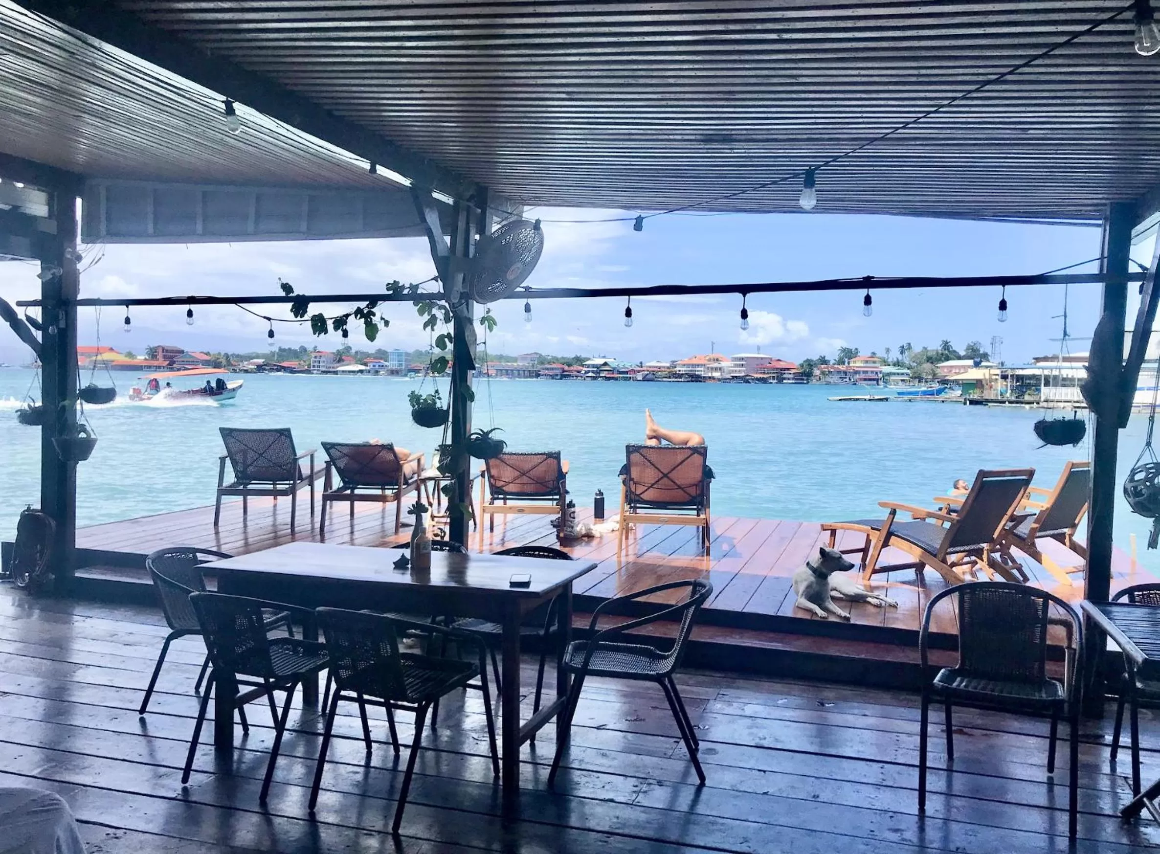 Restaurant/Places to Eat in Casa Acuario Boutique Hotel