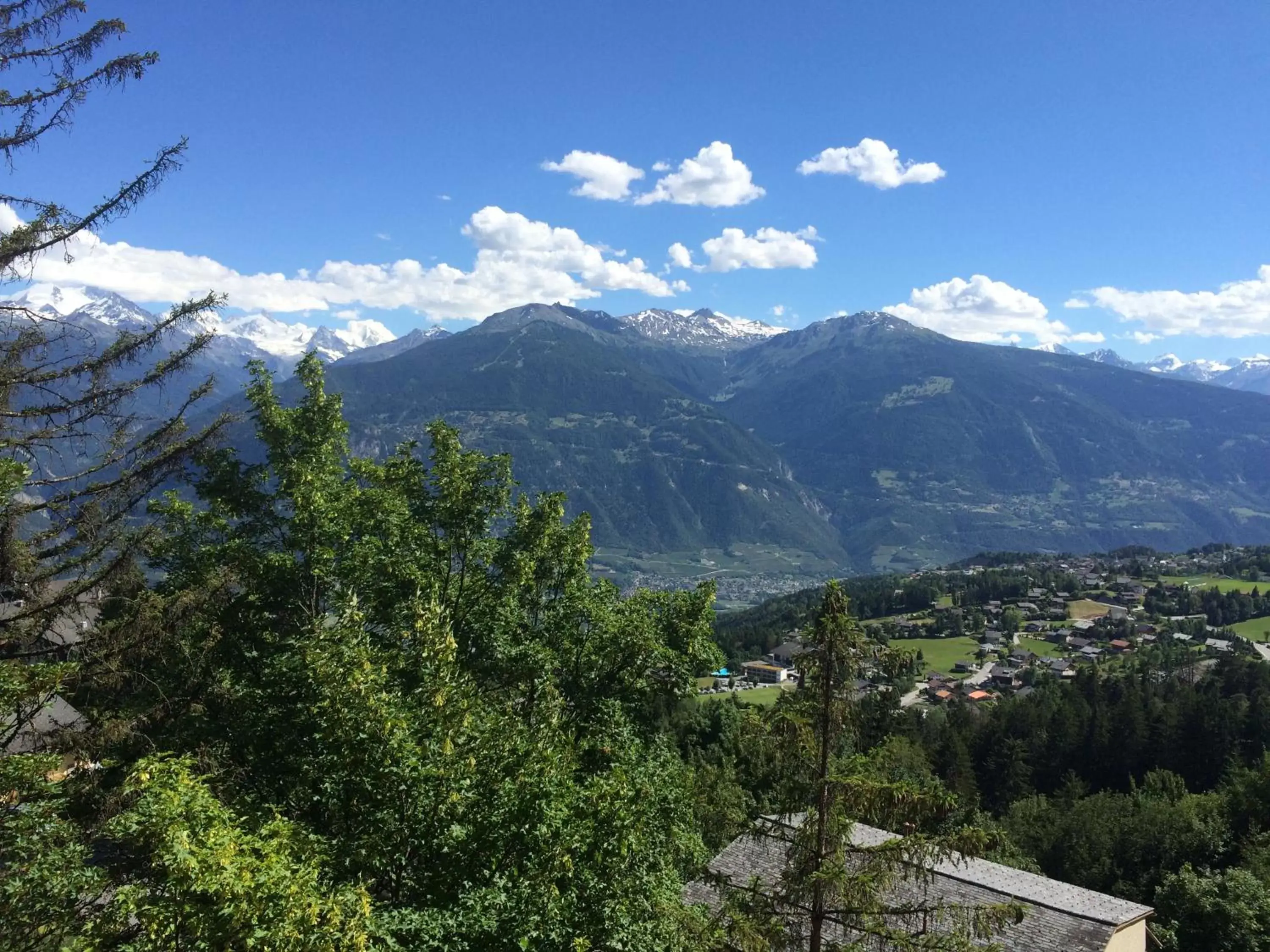 Hôtel de la Forêt Hôtel de la Forêt