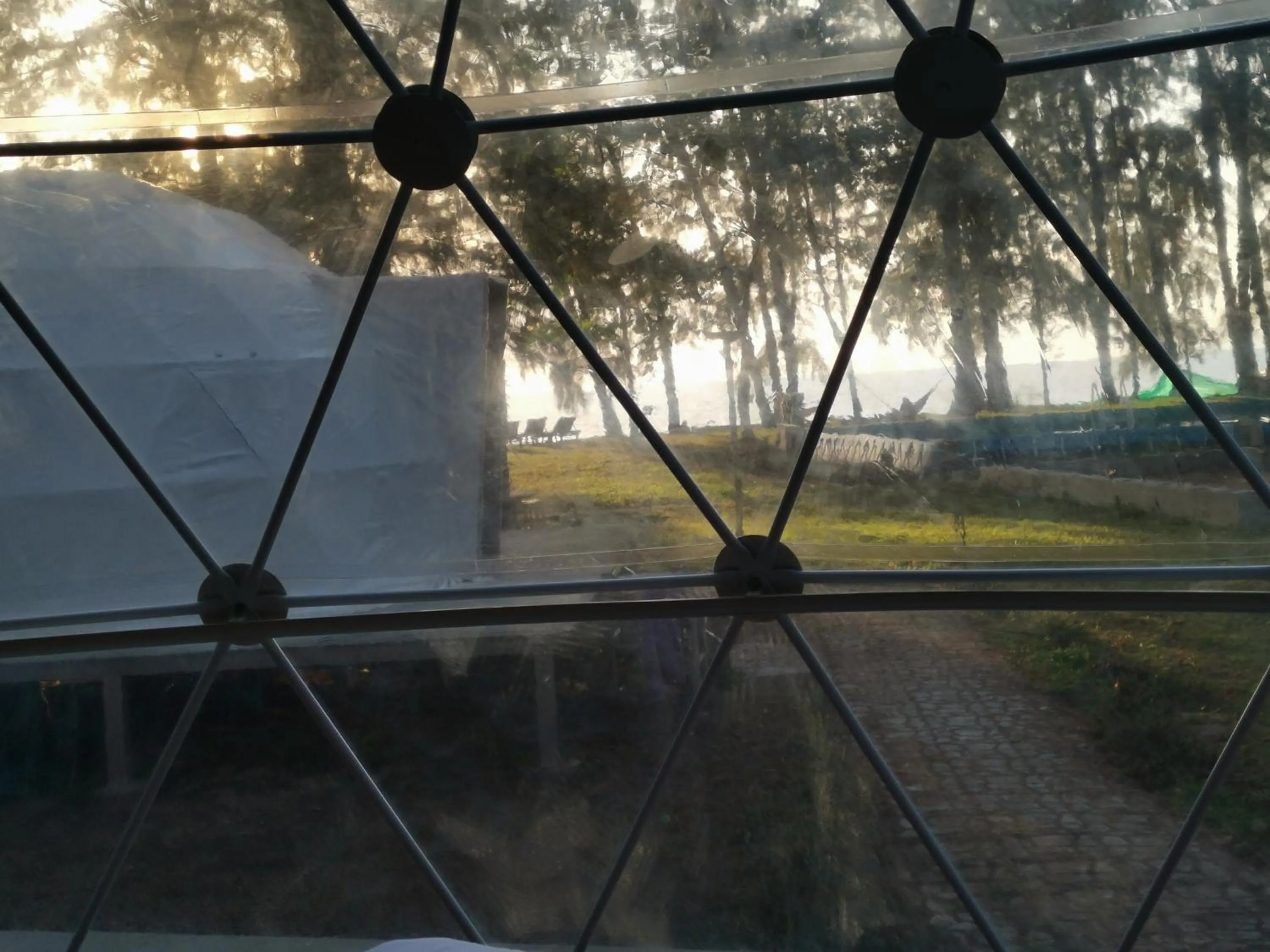 Natural landscape in Eco Lanta Hideaway Beach Resort