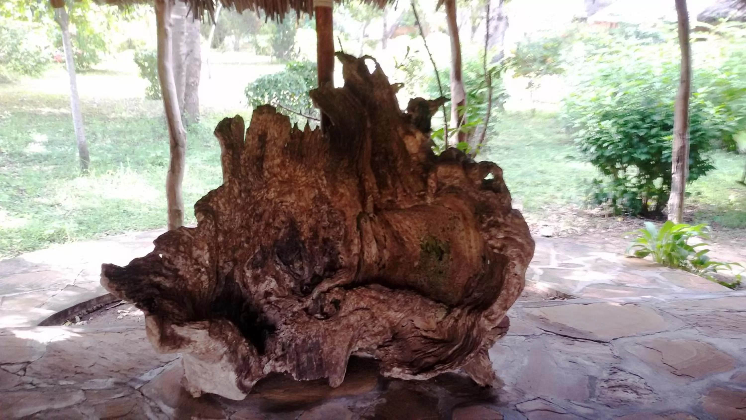 Decorative detail in Bahari Pori Resort