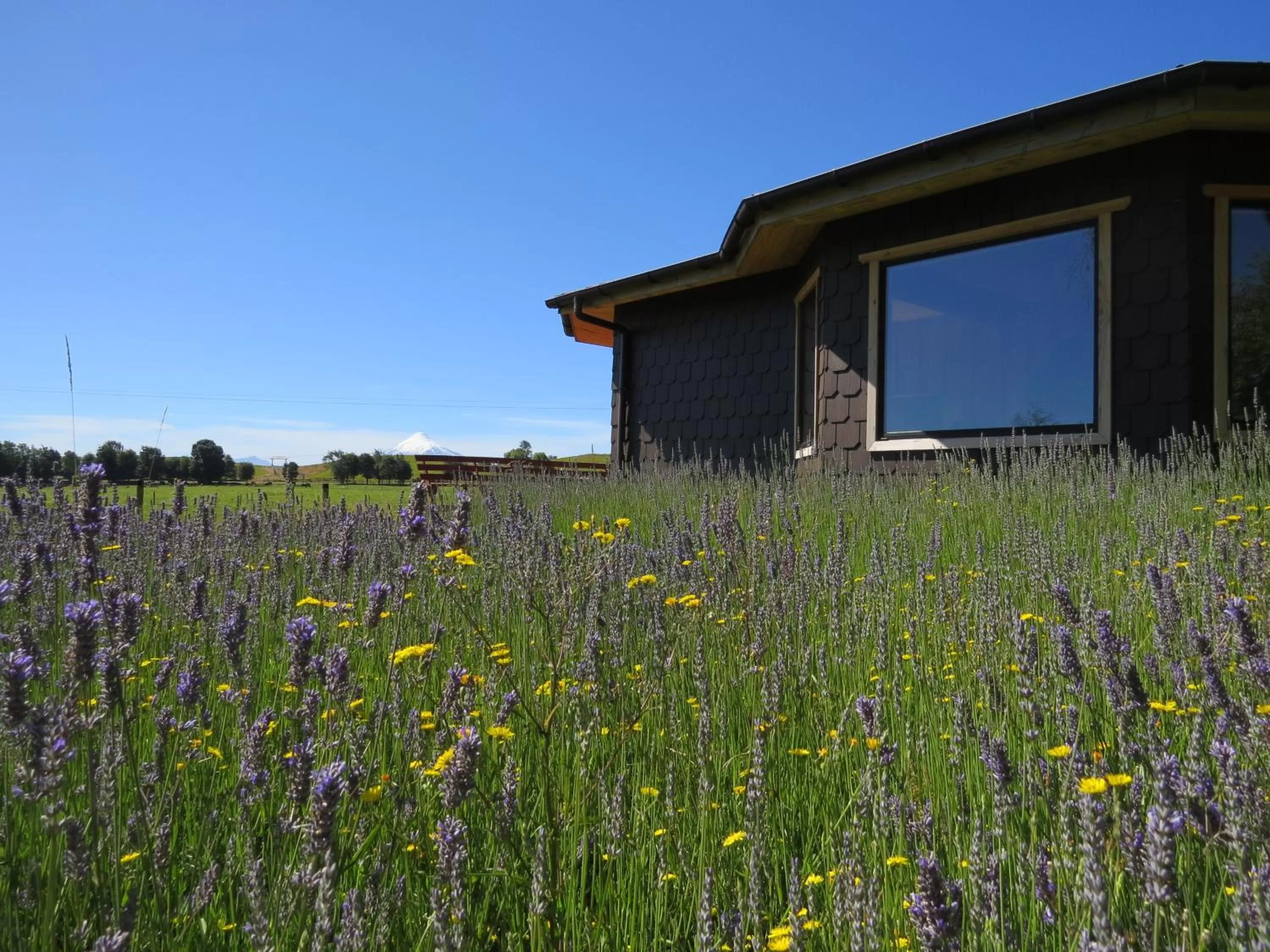 Property Building in Hostal Zapato Amarillo