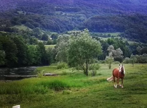 Bed and Breakfast Family Djukic