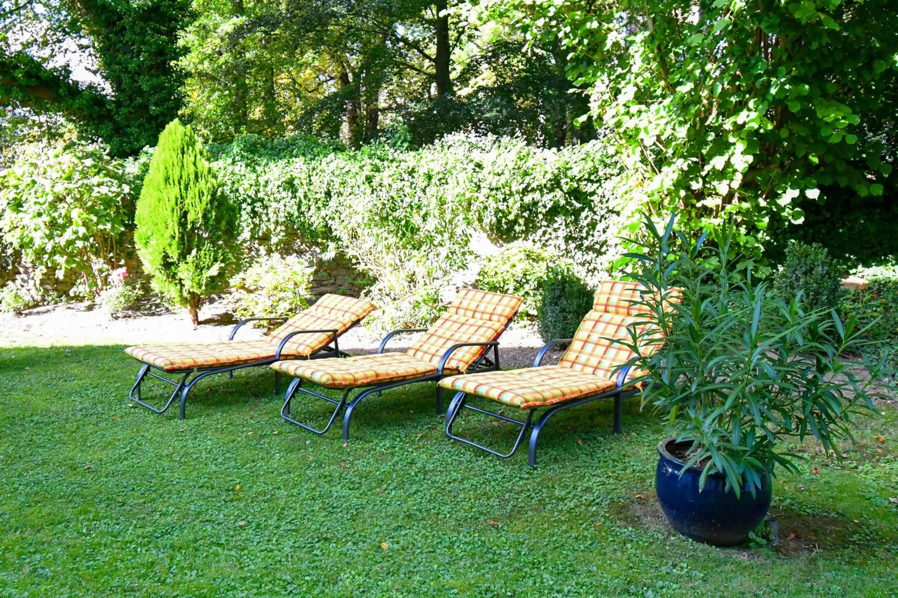 Garden in Parkhotel Hammerberg