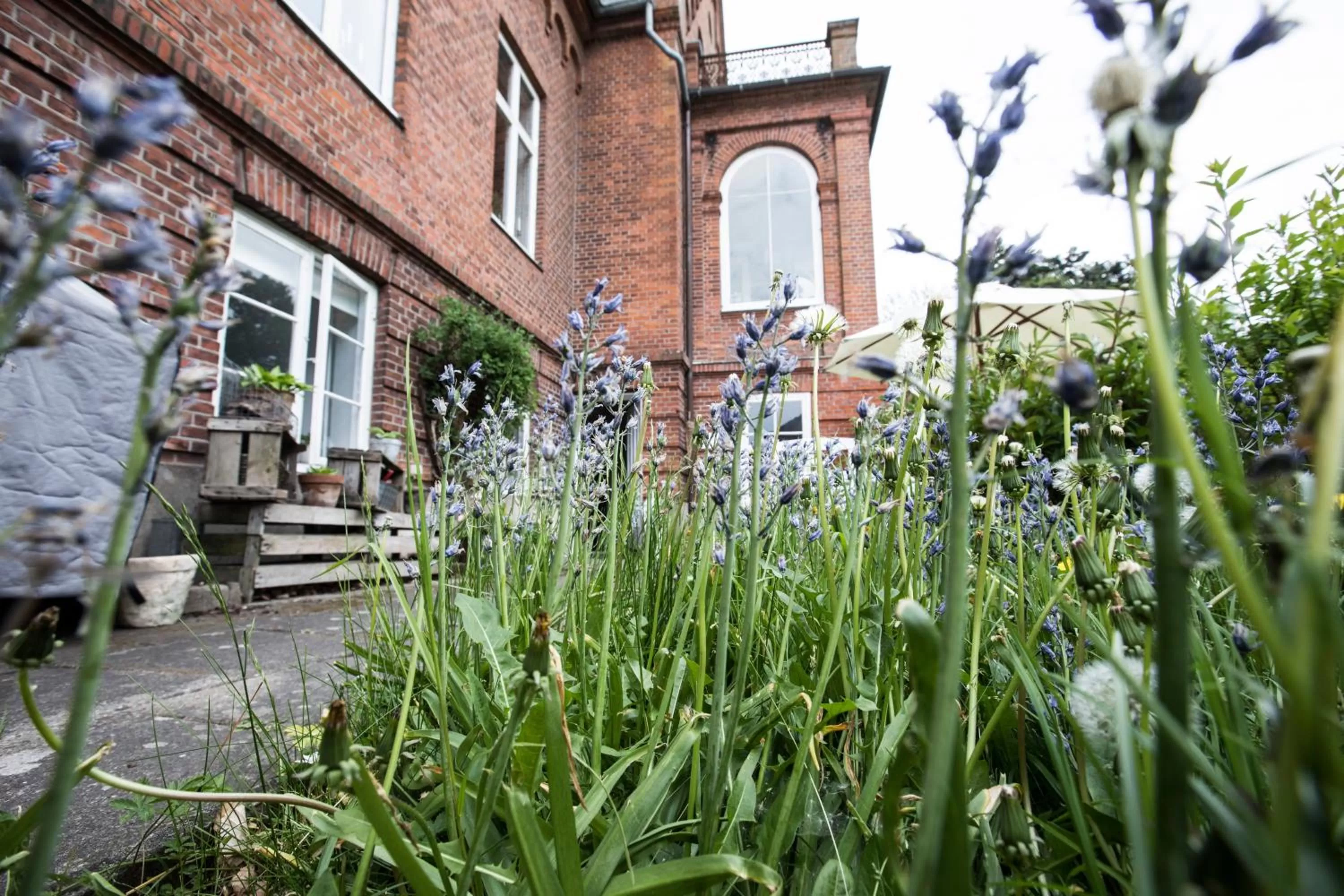 Garden in Ny Kirstineberg Gods Bed & Breakfast