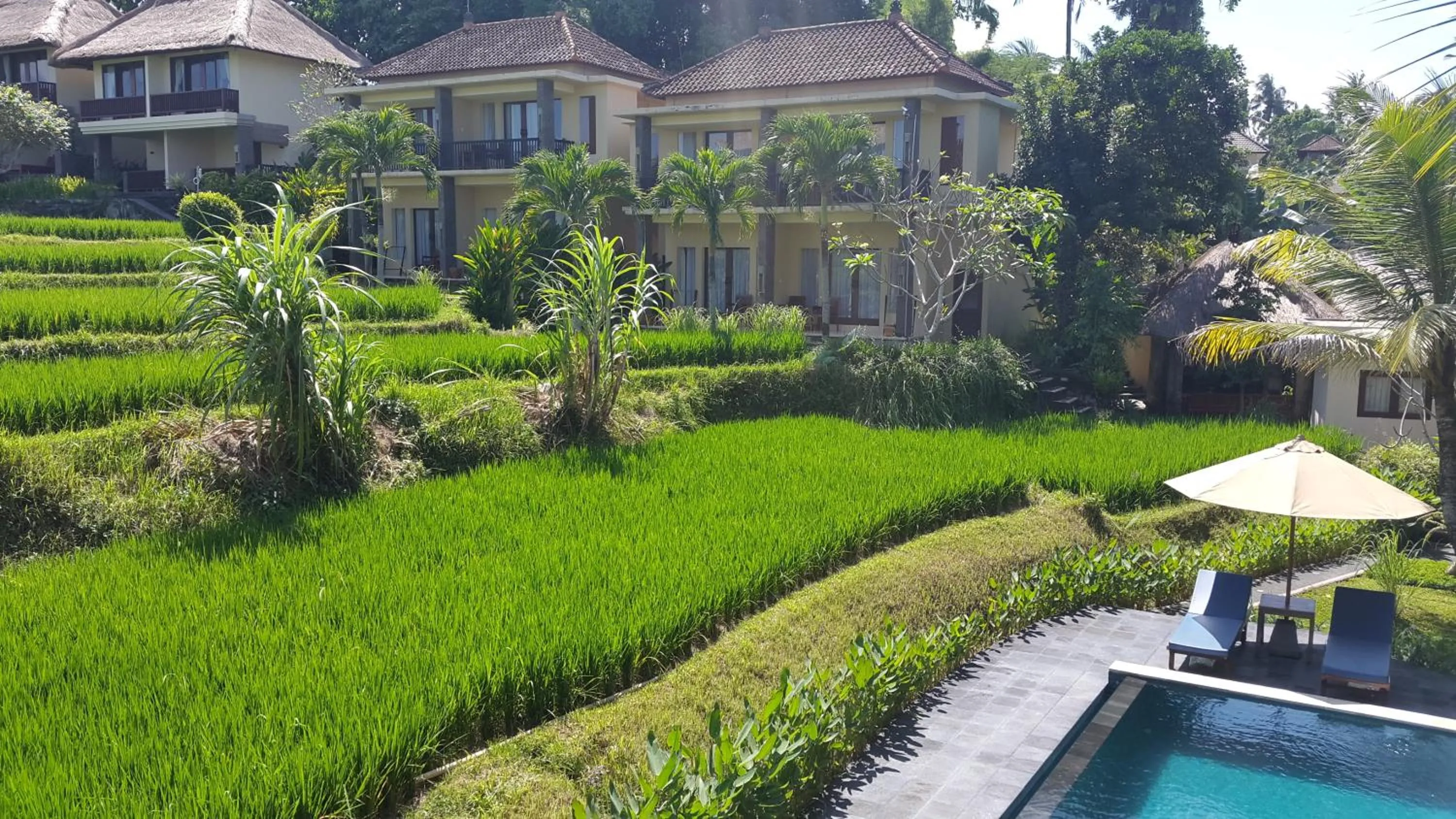 Natural landscape in Biyukukung Suite & Spa