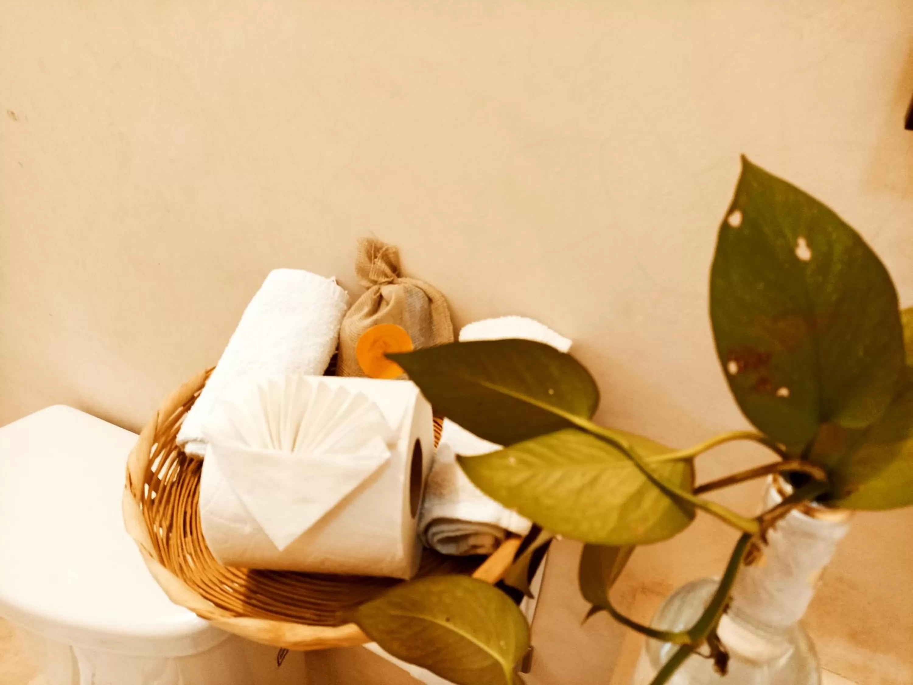 Casa De Los Pájaros - B&B