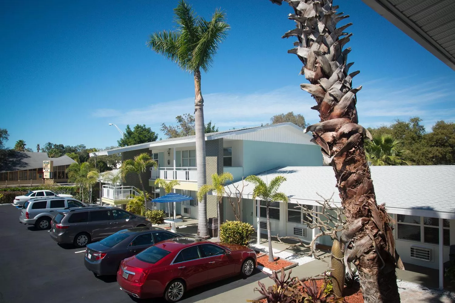 Day in Regency Inn & Suites Sarasota