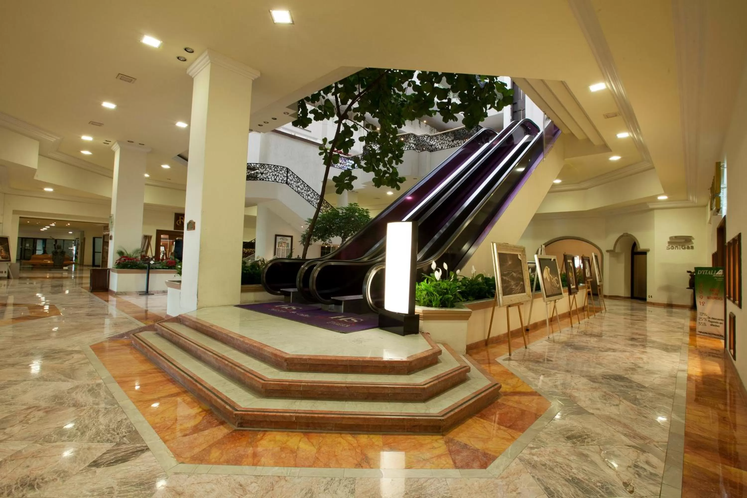 Area and facilities in HS HOTSSON Hotel Leon