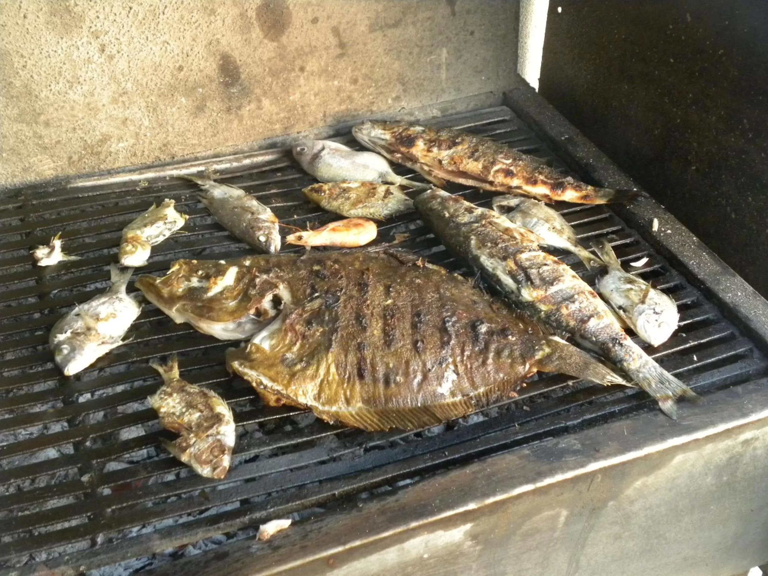 Food close-up, BBQ Facilities in Maxola's Dream Orikum