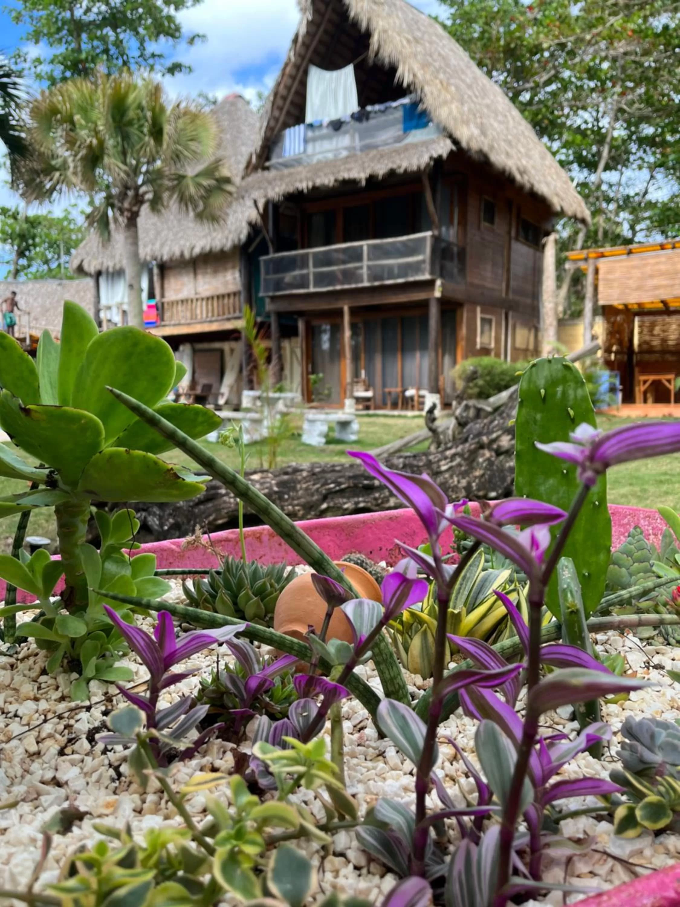 Cabarete Maravilla Eco Lodge Boutique Beach Surf Encuentro, Kite, by AA Crypto Group