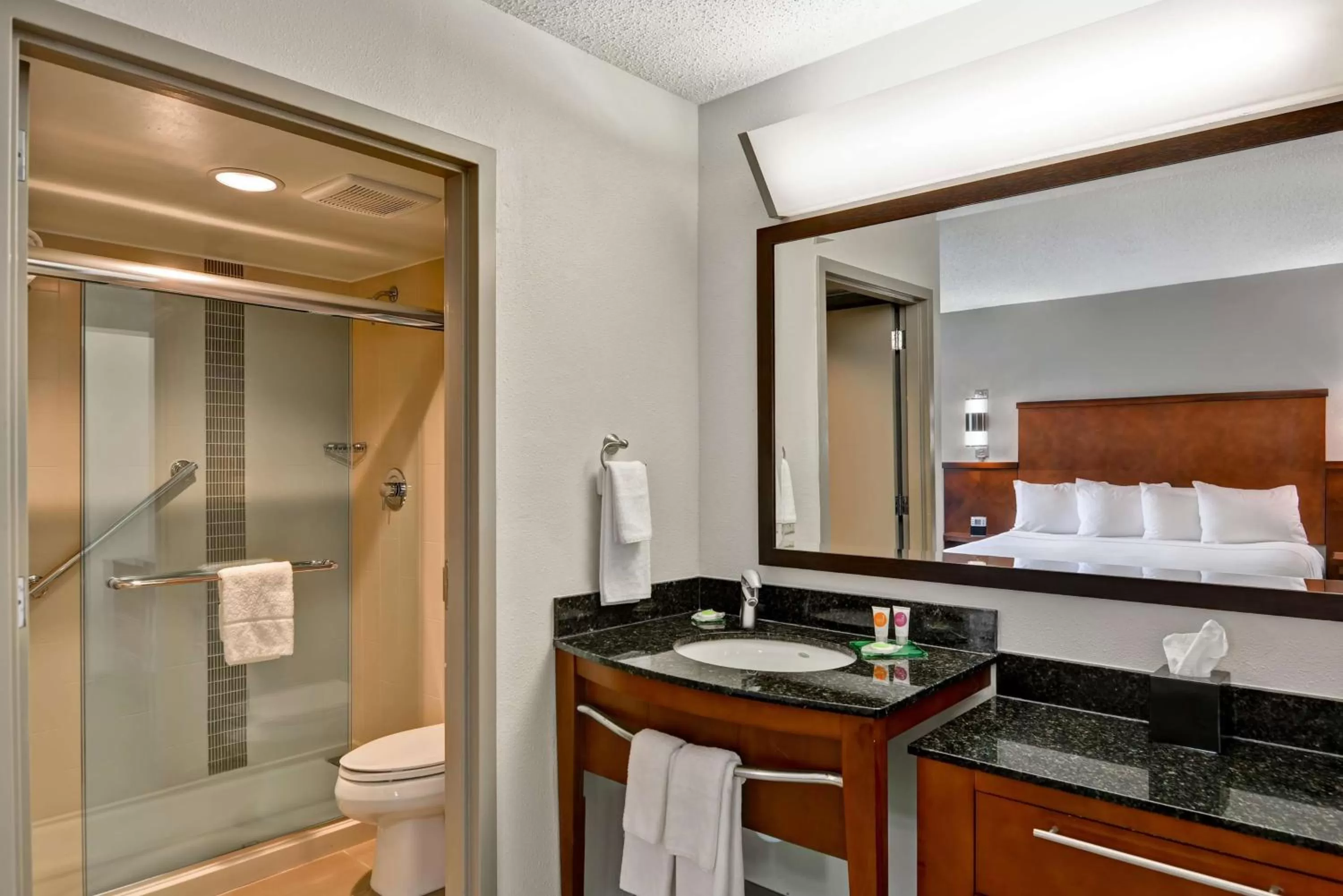 Bathroom, Bed in Hyatt Place Birmingham/Hoover