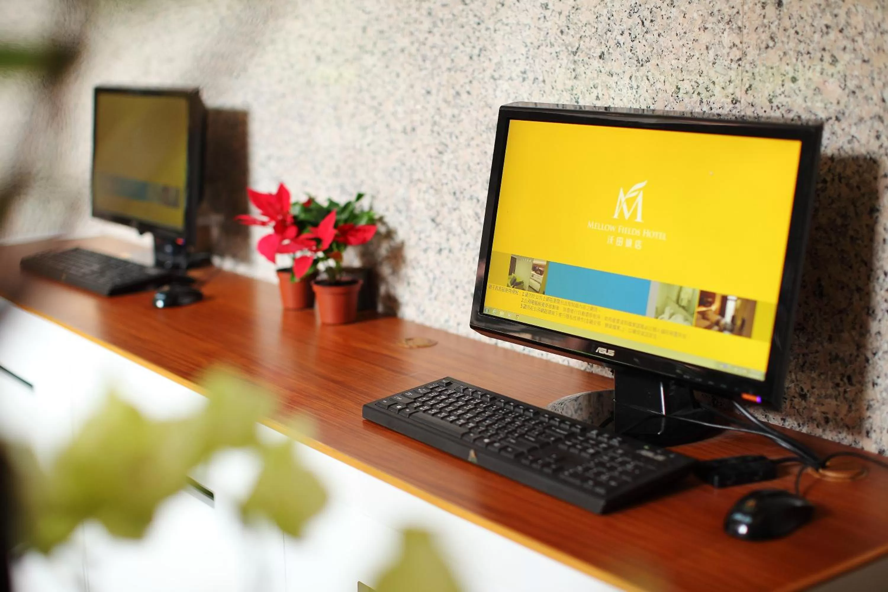 Decorative detail in Mellow Fields Hotel