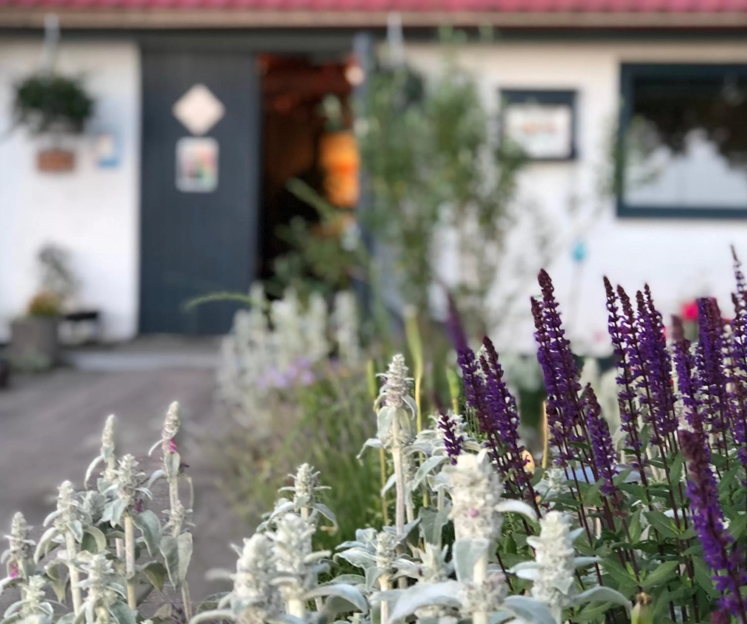Facade/entrance in Tryde 1303 B&B på Österlen