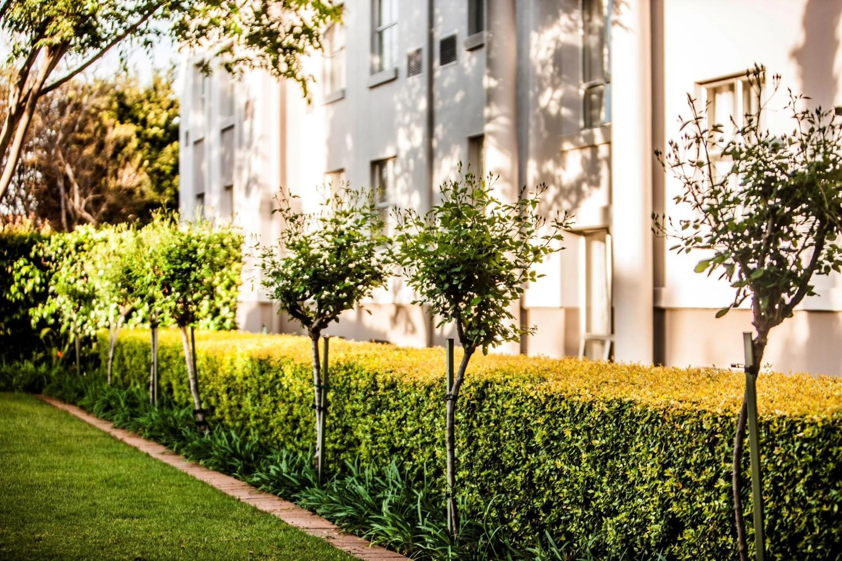 Garden in Garden Court Morningside Sandton