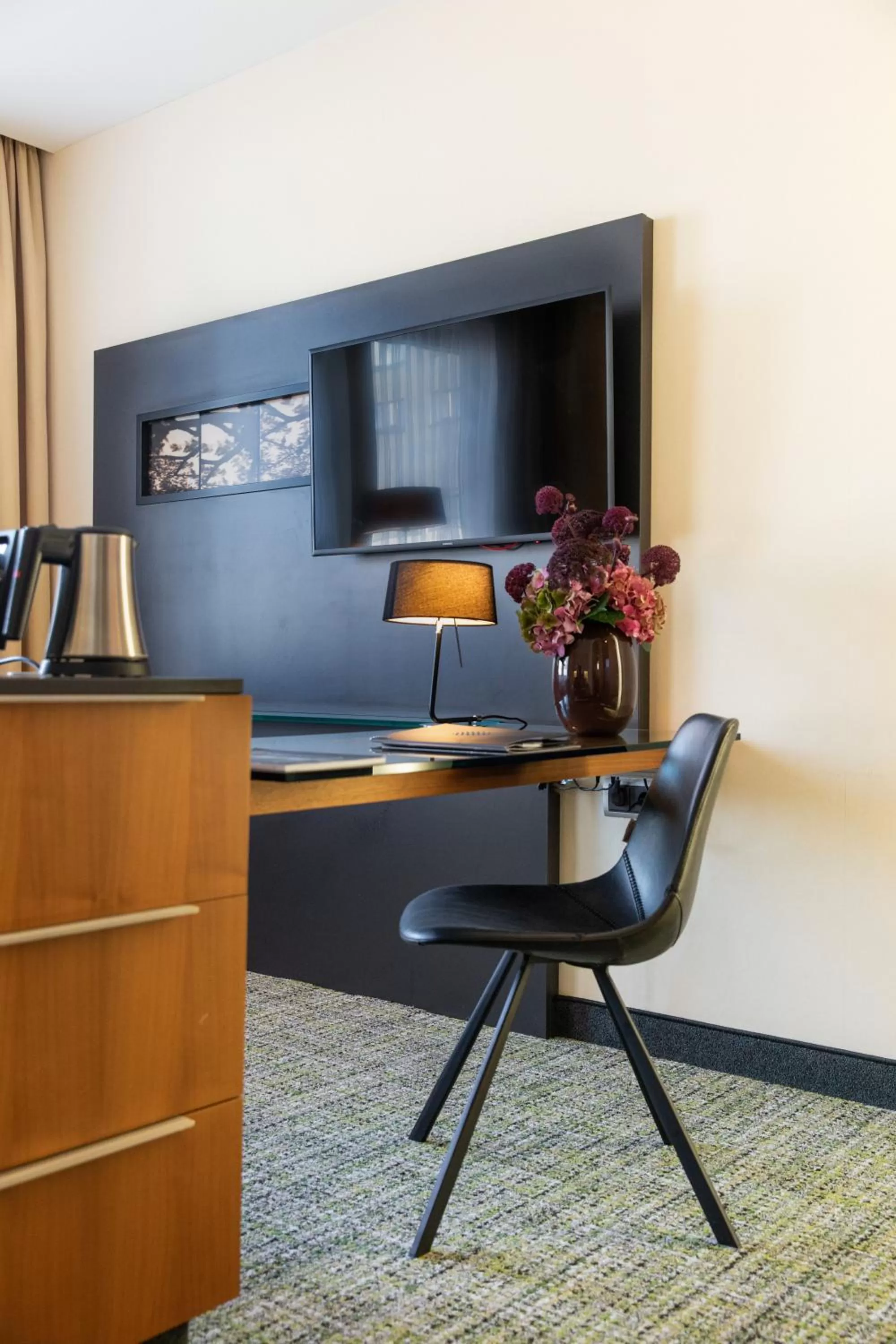 TV and multimedia in Pullman Eindhoven Cocagne