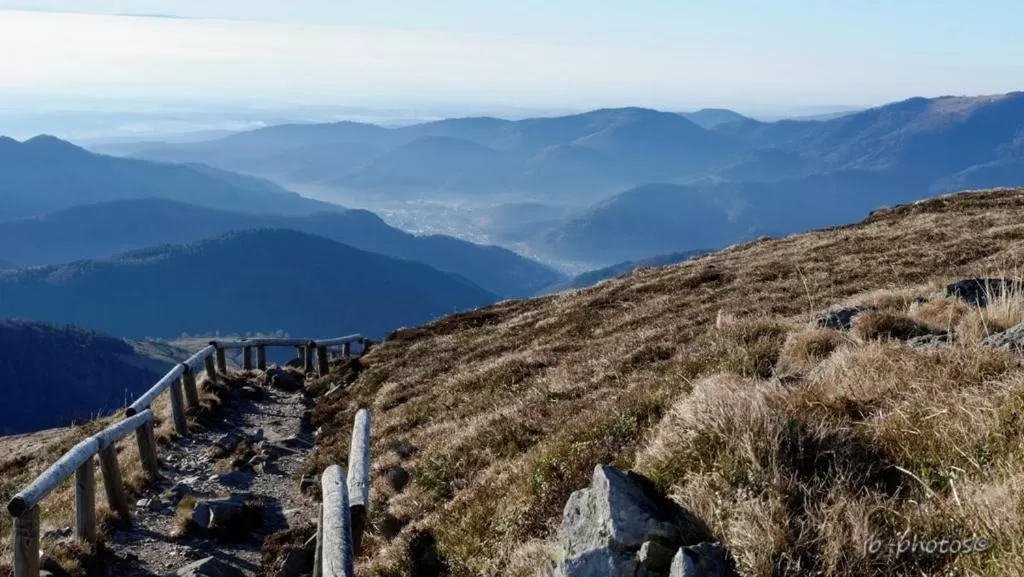Activities in L'AO Hôtel & Restaurant L'Aigle d'Or