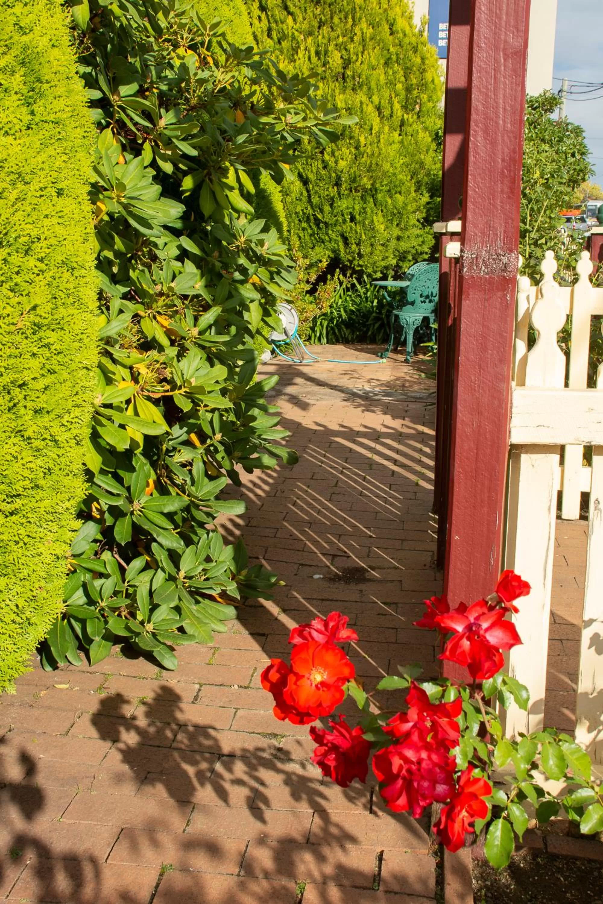 Garden view in Nebula Motel