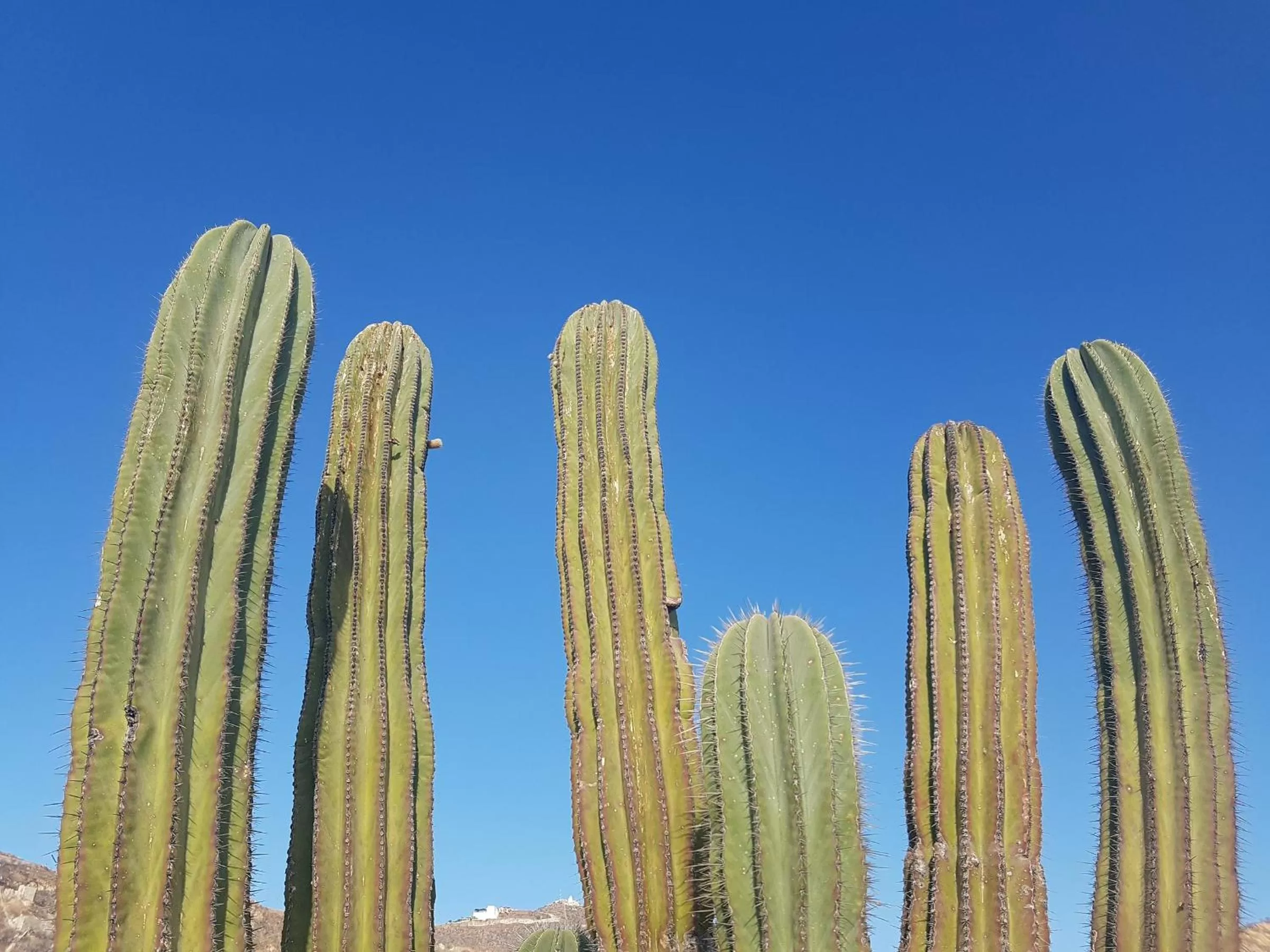 Natural landscape in Los Milagros Hotel