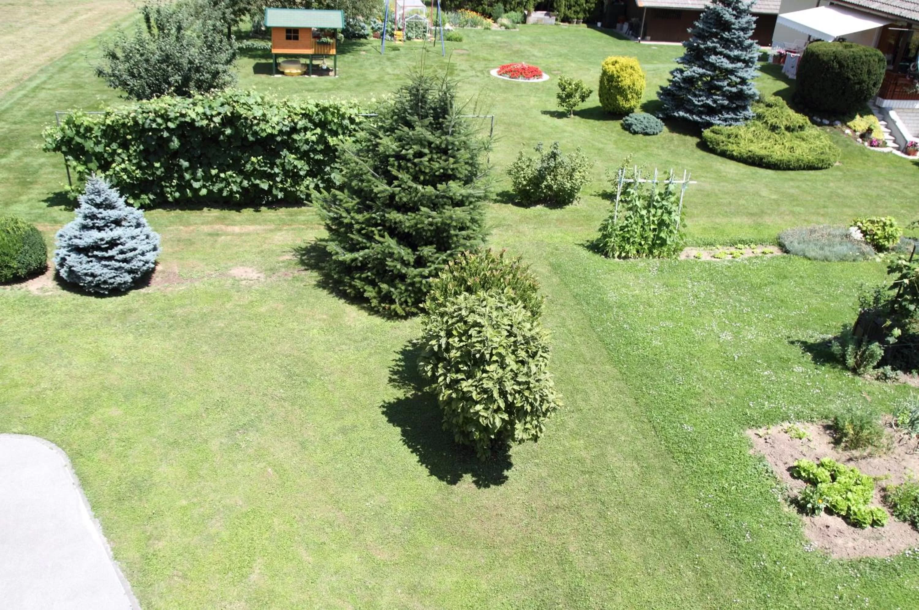 Garden in Rooms & Apartments Jana