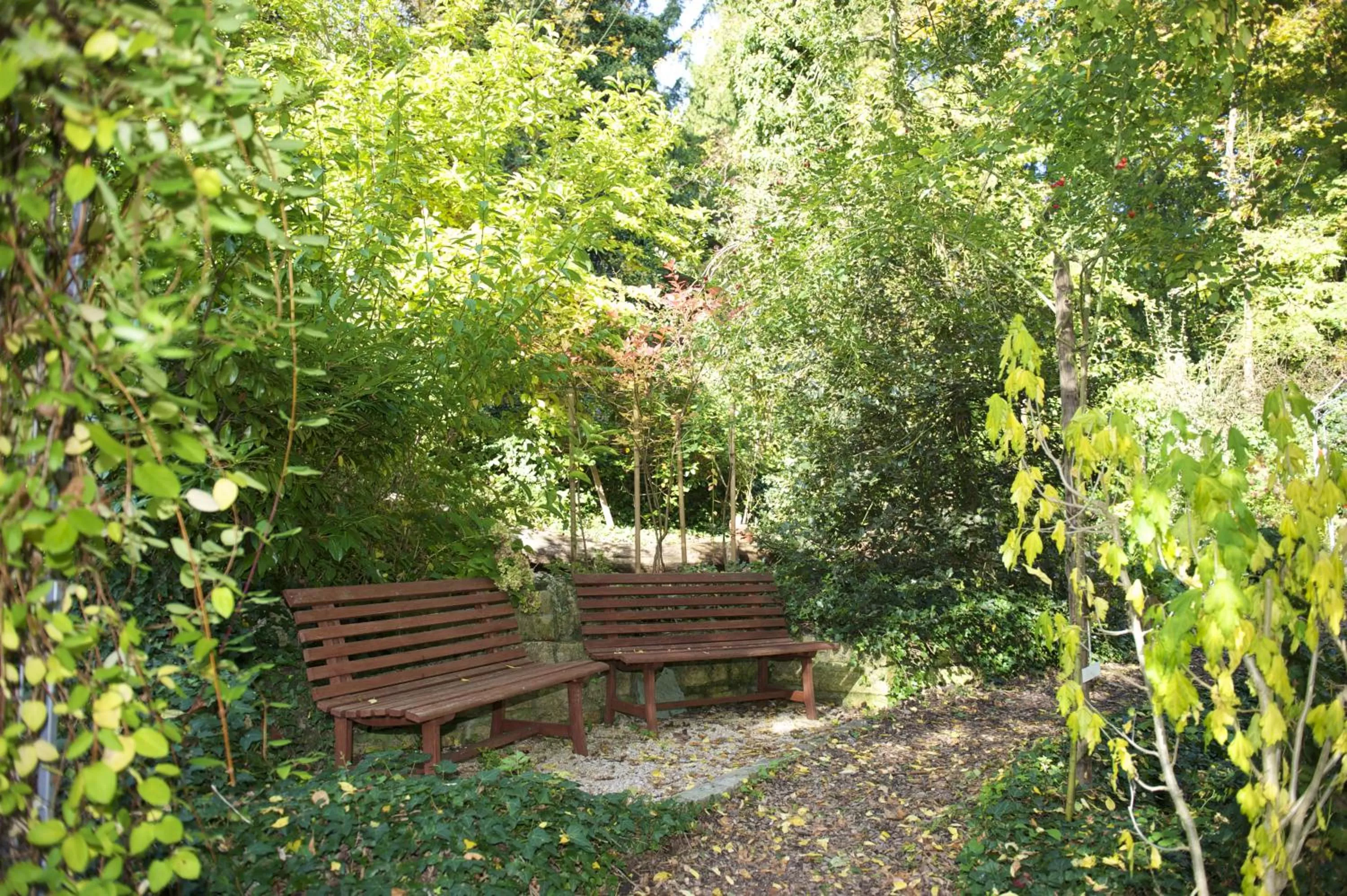 Garden in Hotel Promenade