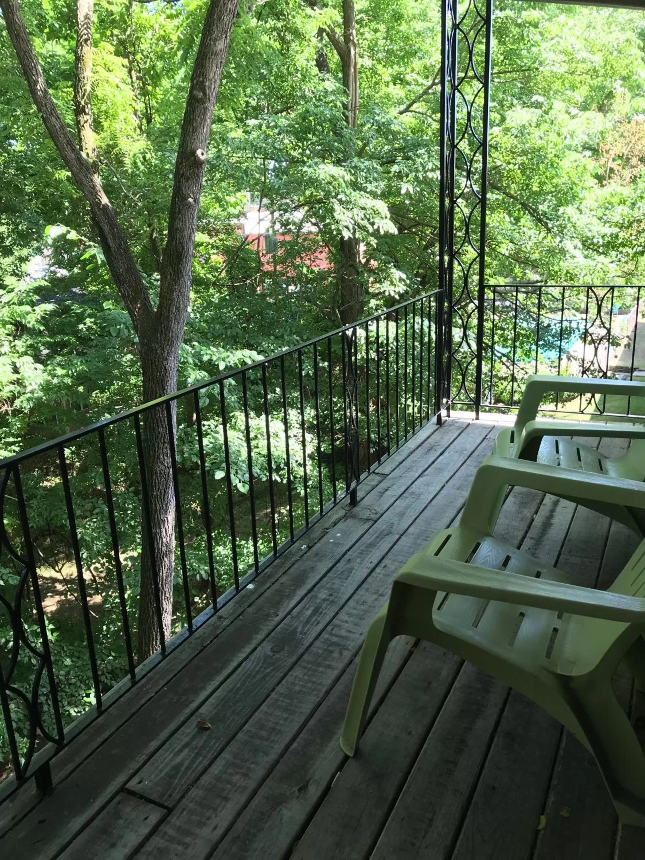 View (from property/room) in The Wanderoo Lodge