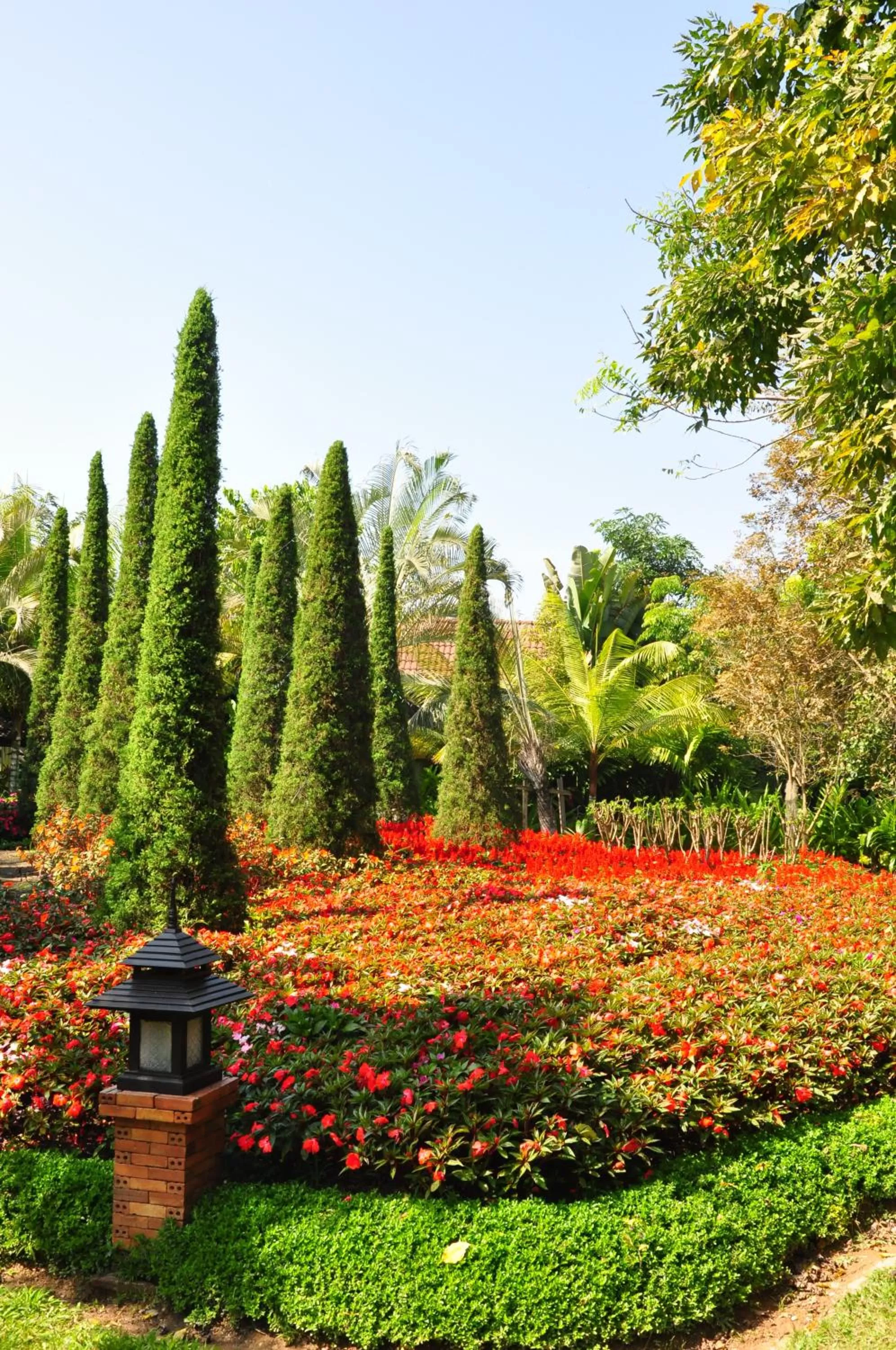 Garden in Laluna Hotel And Resort, Chiang Rai