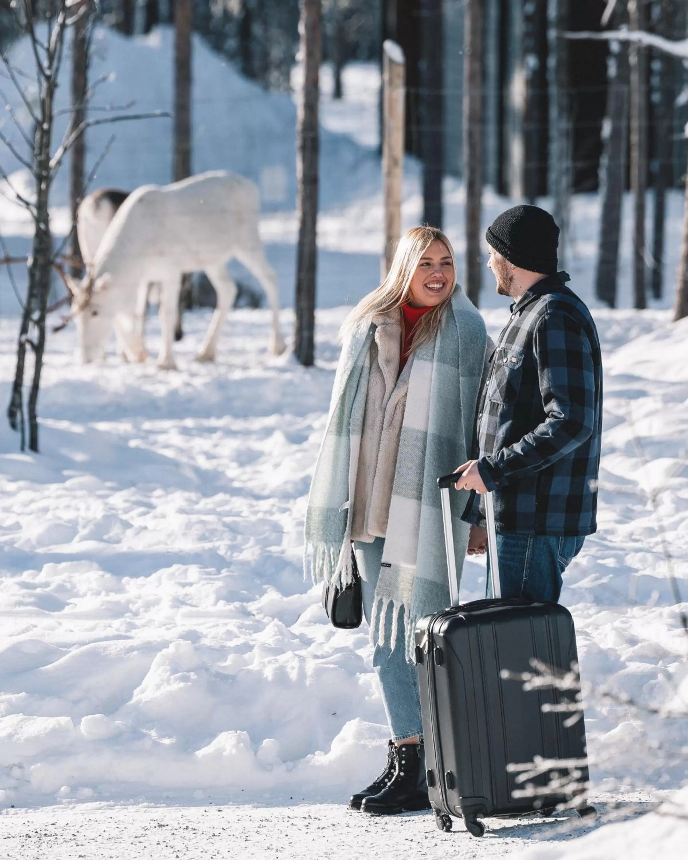 Winter in Nova Skyland Hotel