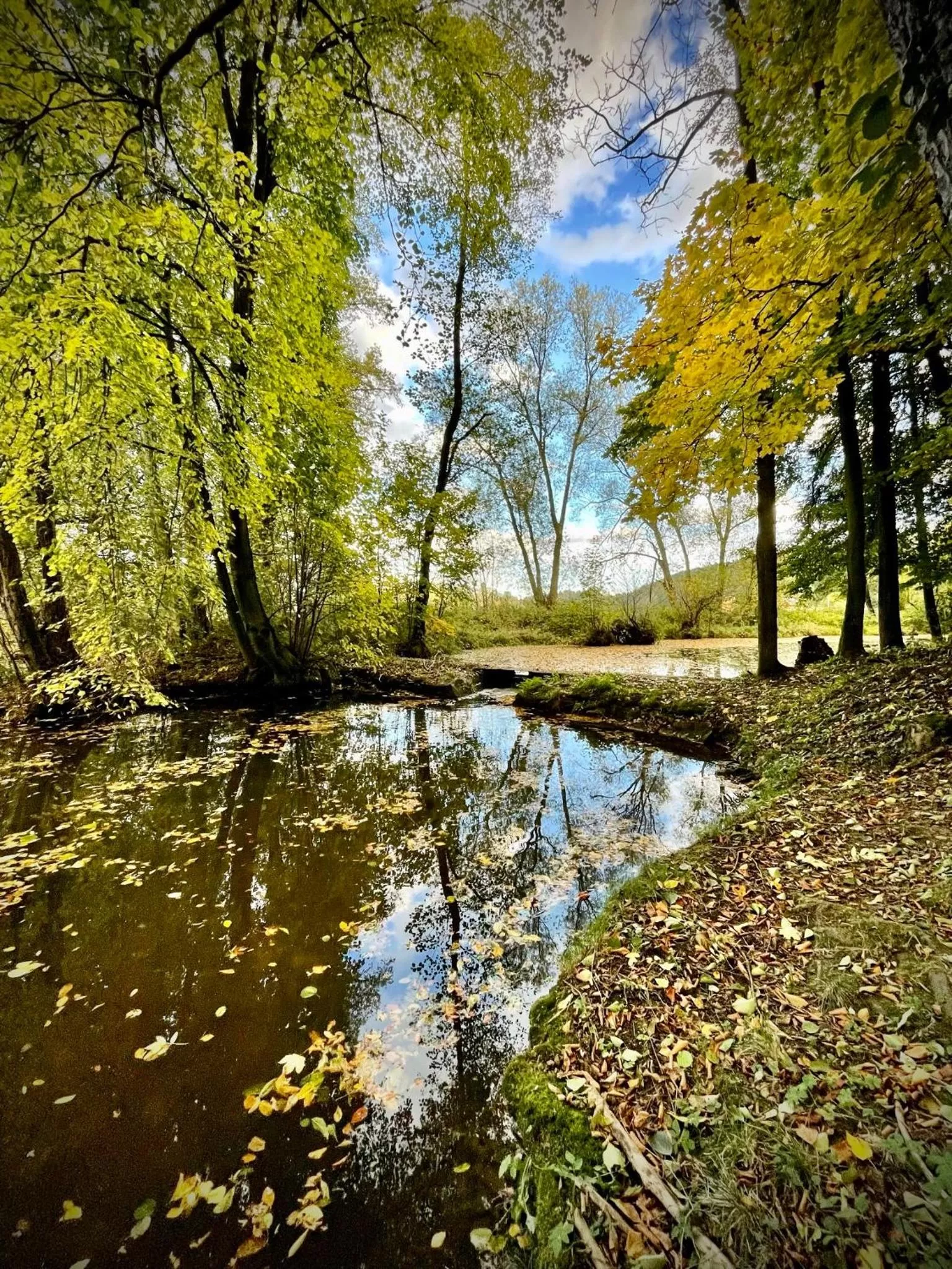 HARABURDI® Recyclart Hotel